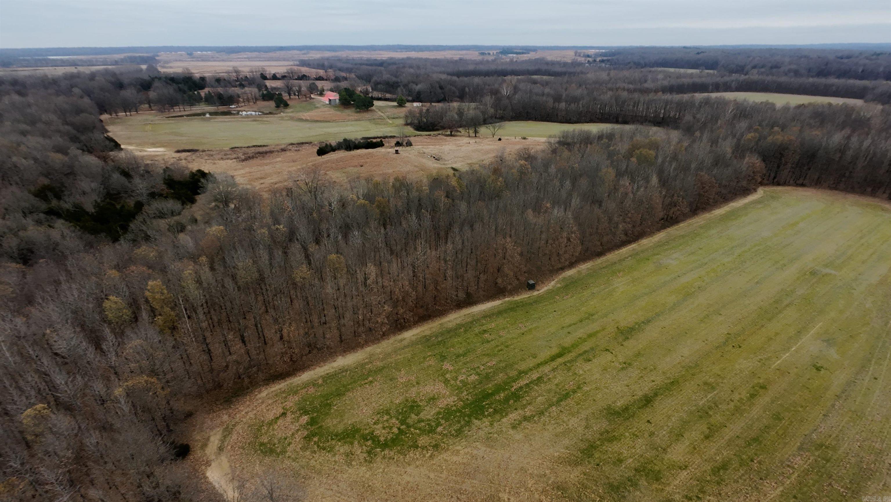 2 Cr 41 Property Photo 5