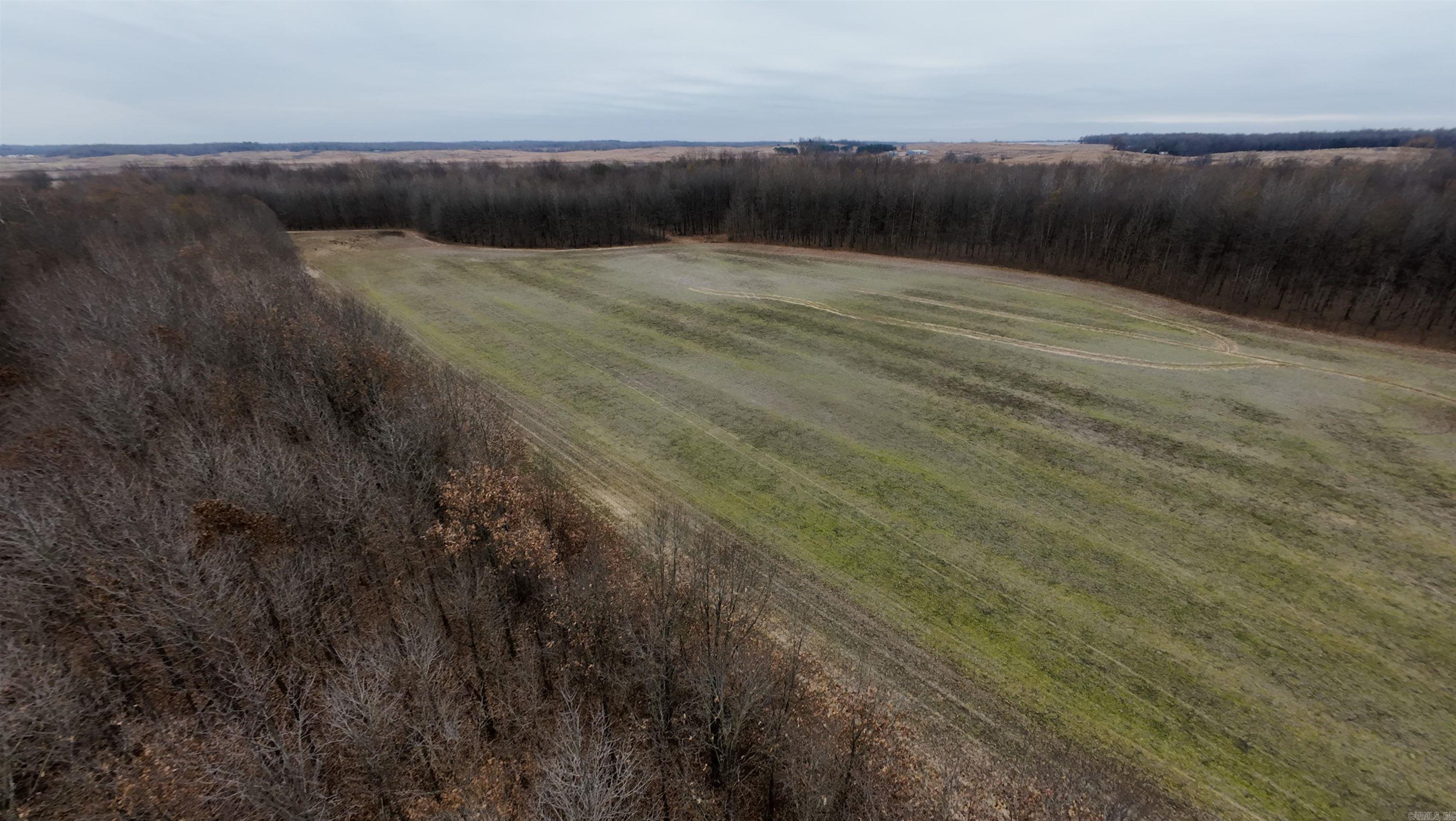 2 Cr 41 Property Photo 16