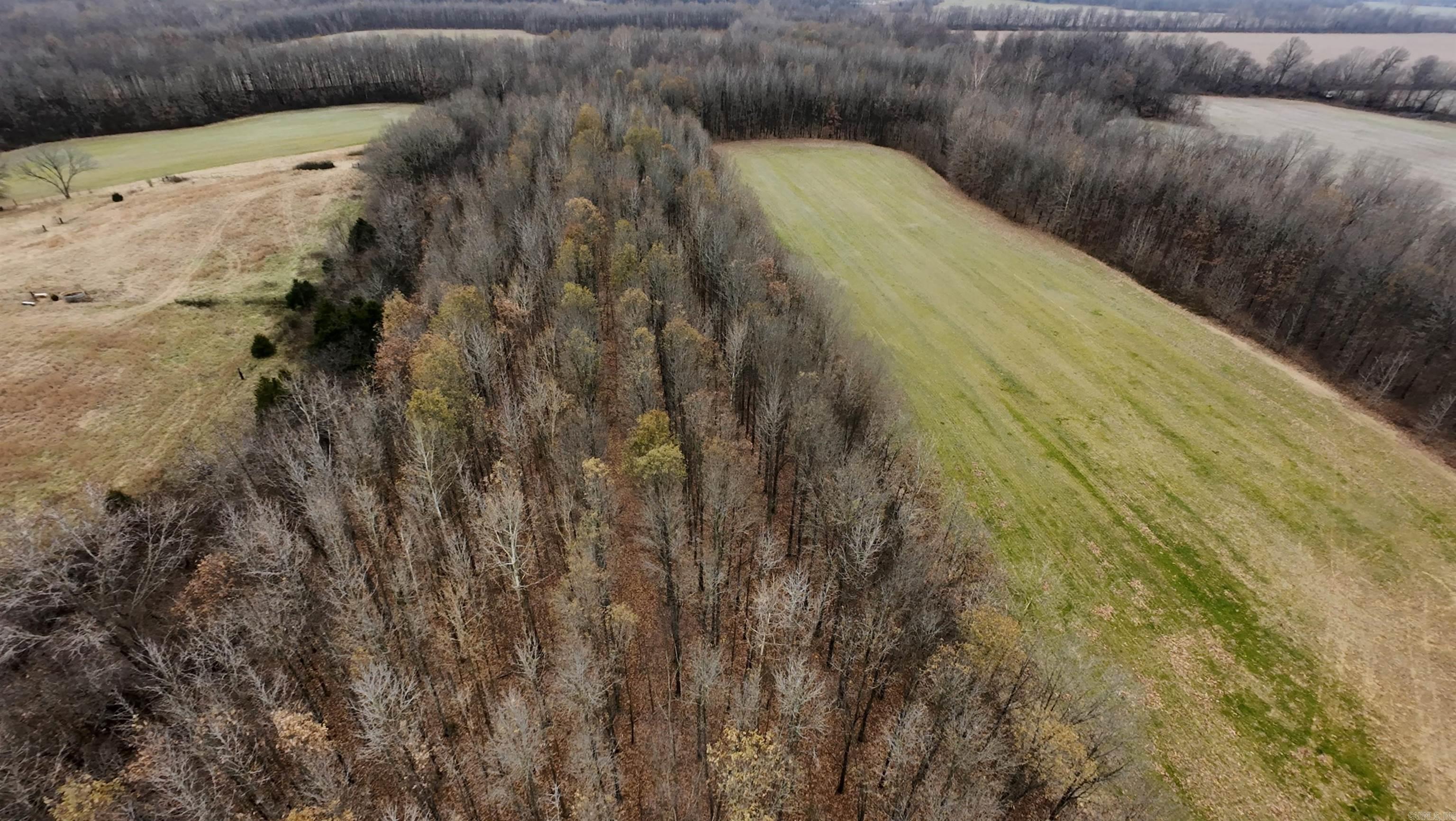 2 Cr 41 Property Photo 34