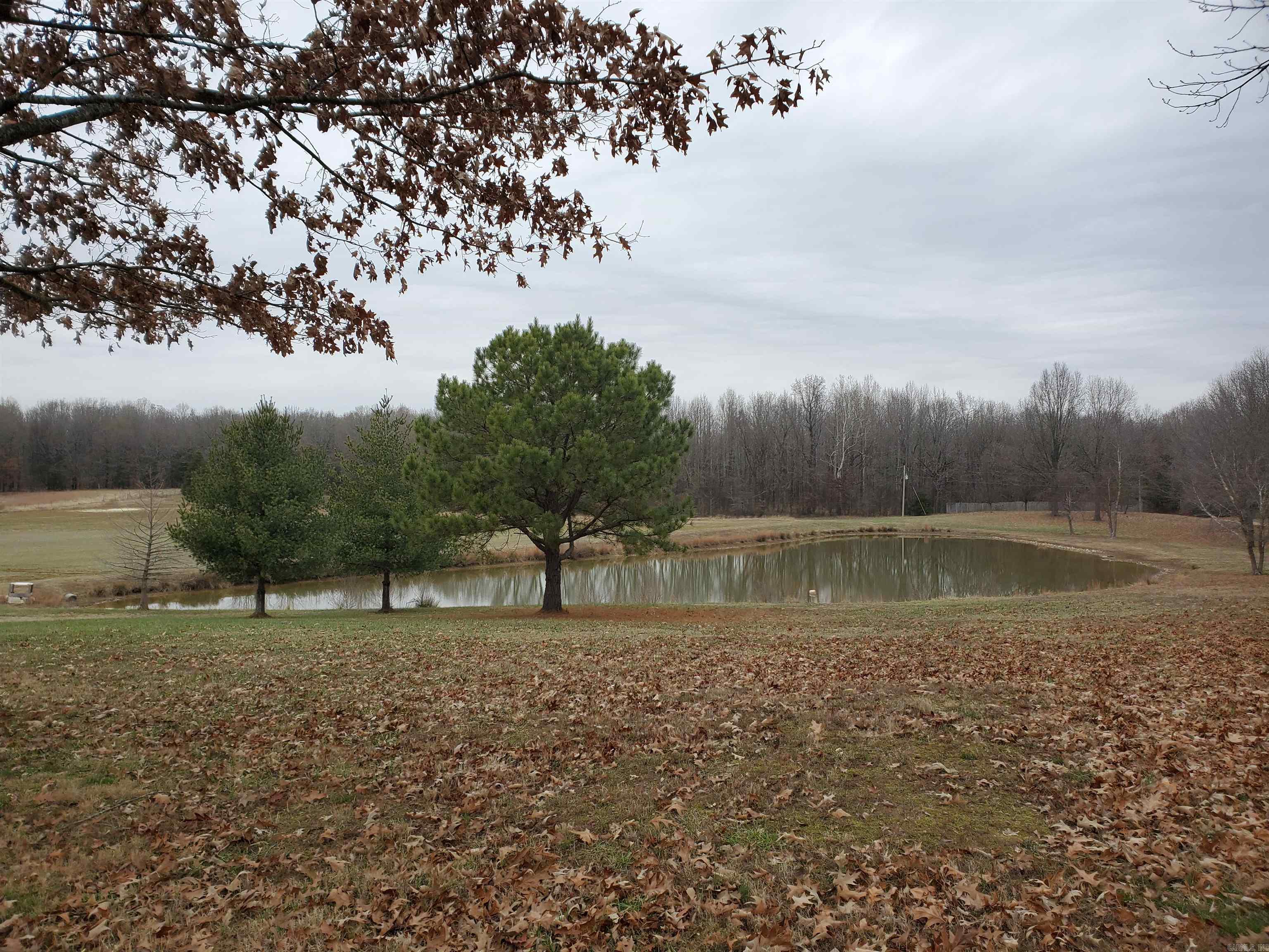 2 Cr 41 Property Photo 50