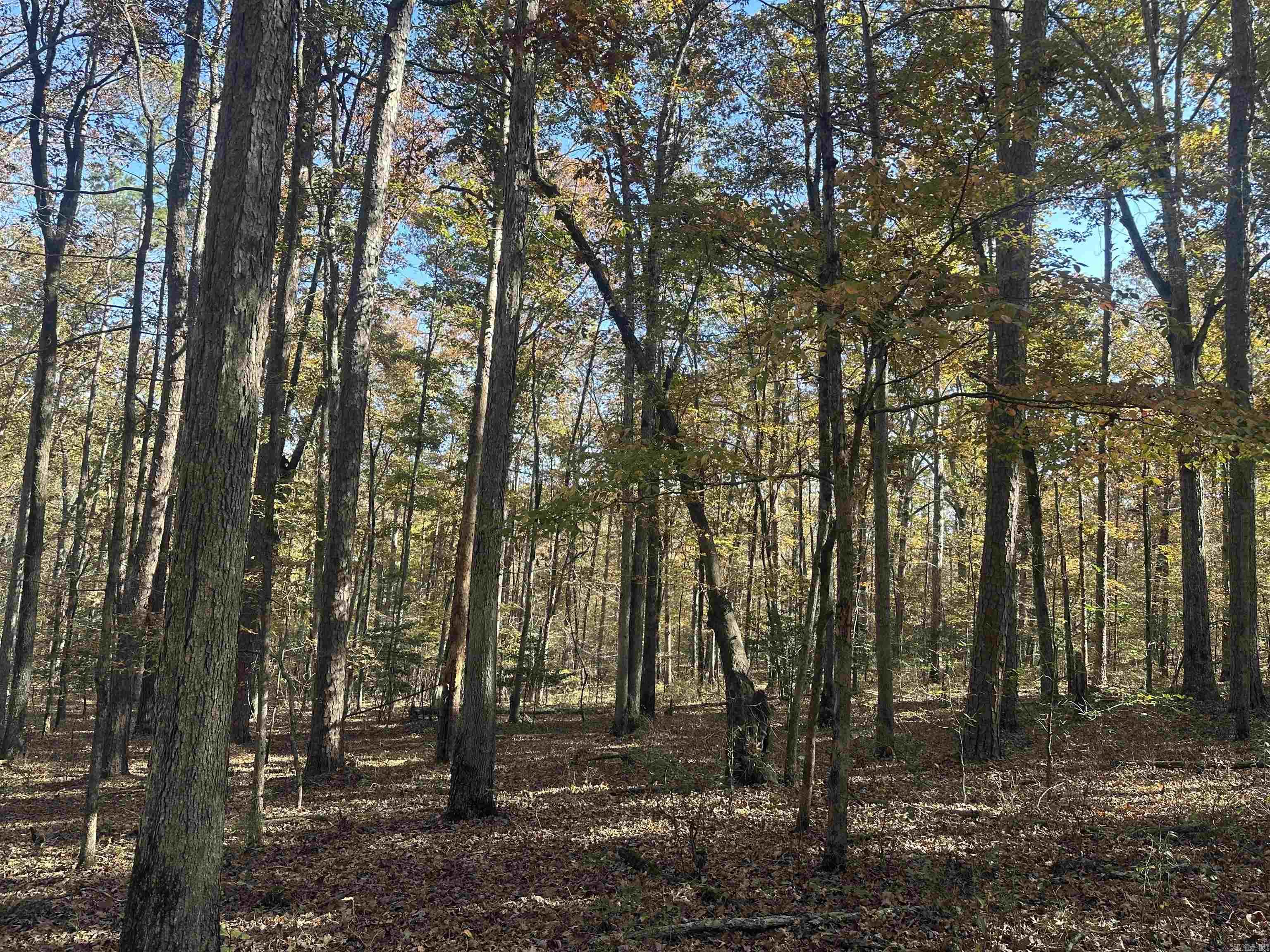 Tbd Dirt Dobber Rd Property Photo 1