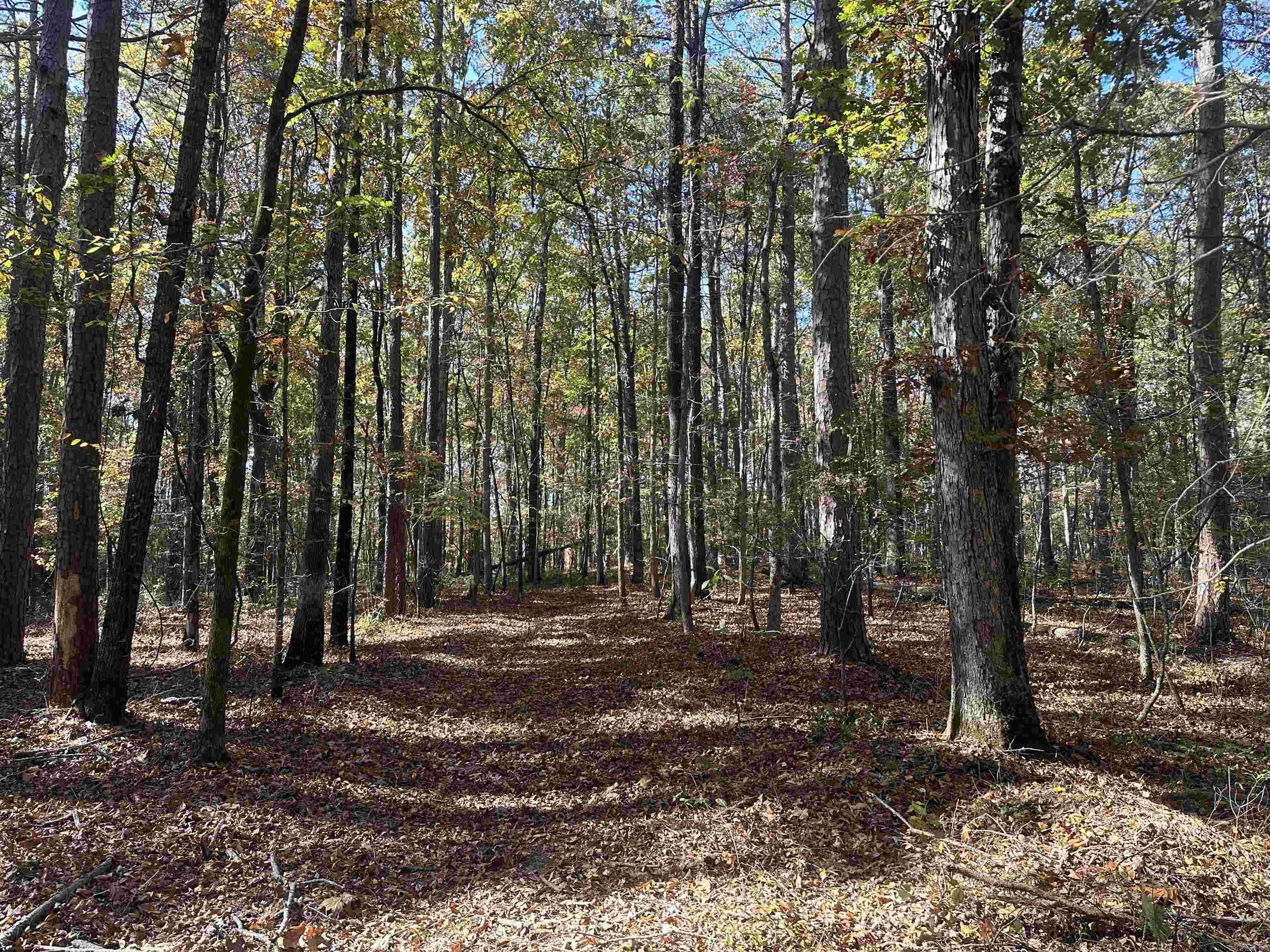 Tbd Dirt Dobber Rd Property Photo 2
