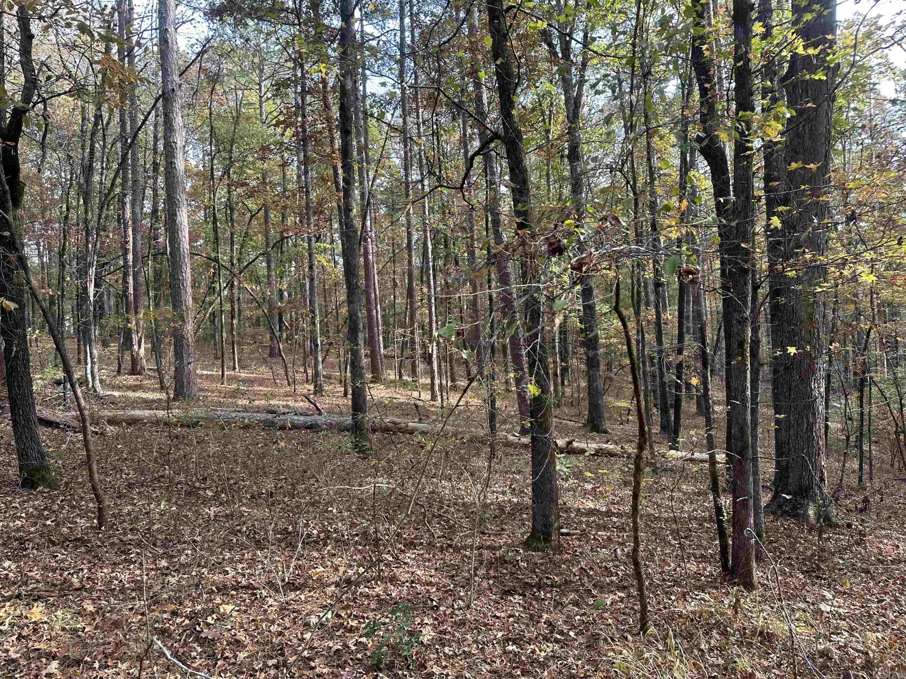 Tbd Dirt Dobber Rd Property Photo 5