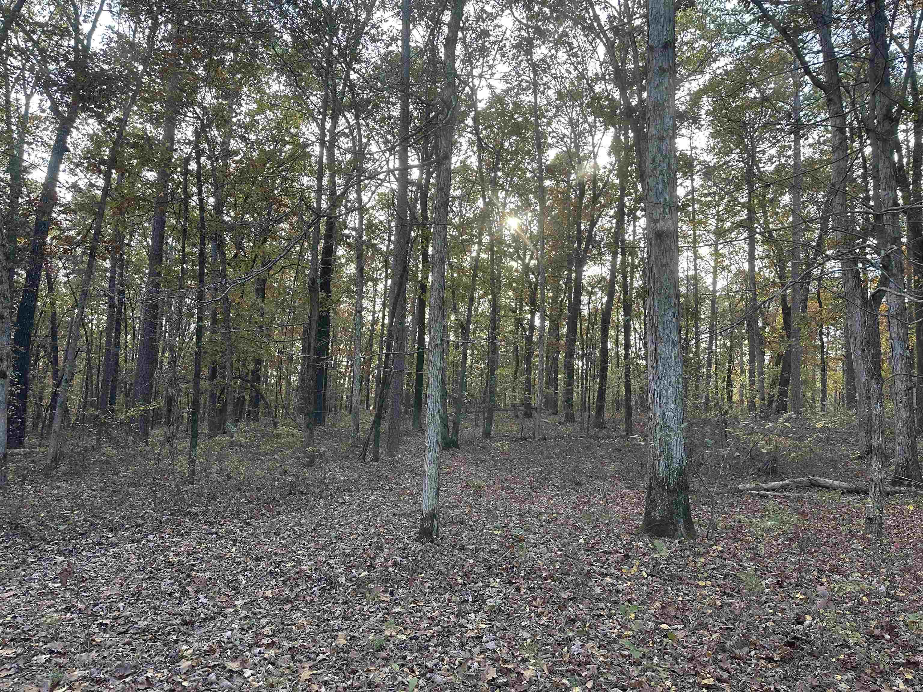Tbd Dirt Dobber Rd Property Photo 6