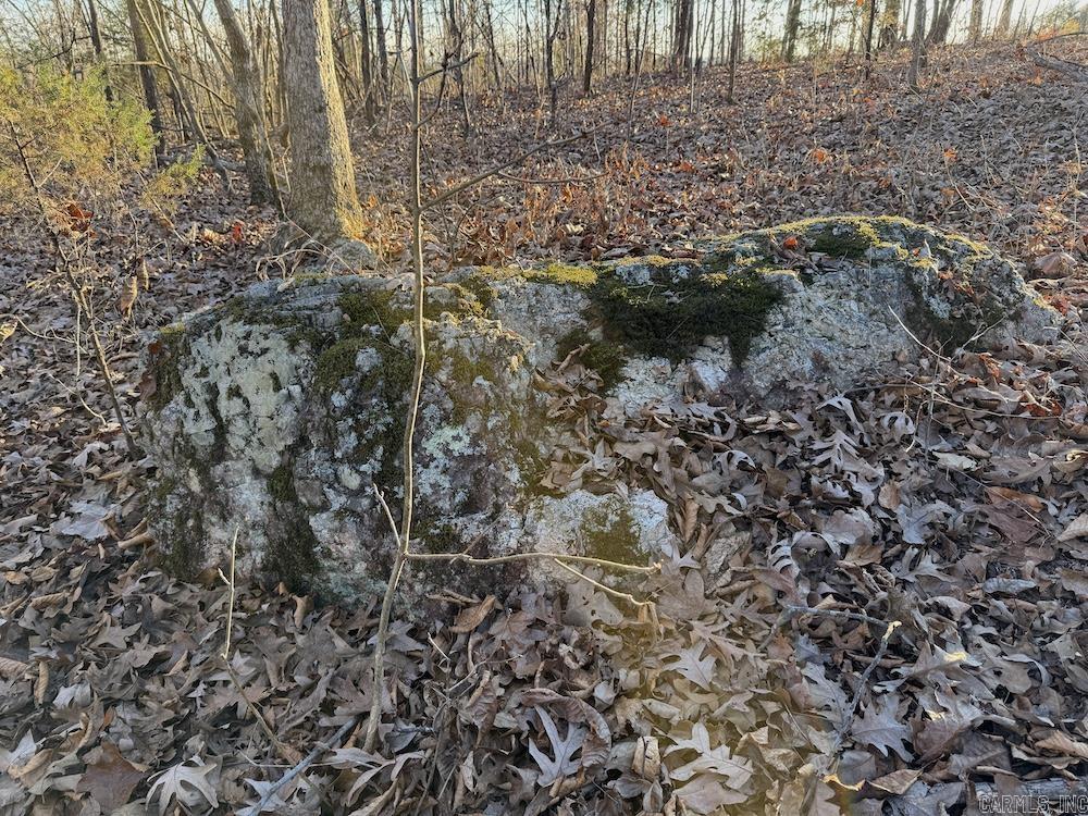 Hwy 62/36 Property Photo 3
