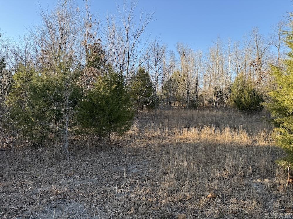 Hwy 62/36 Property Photo 24