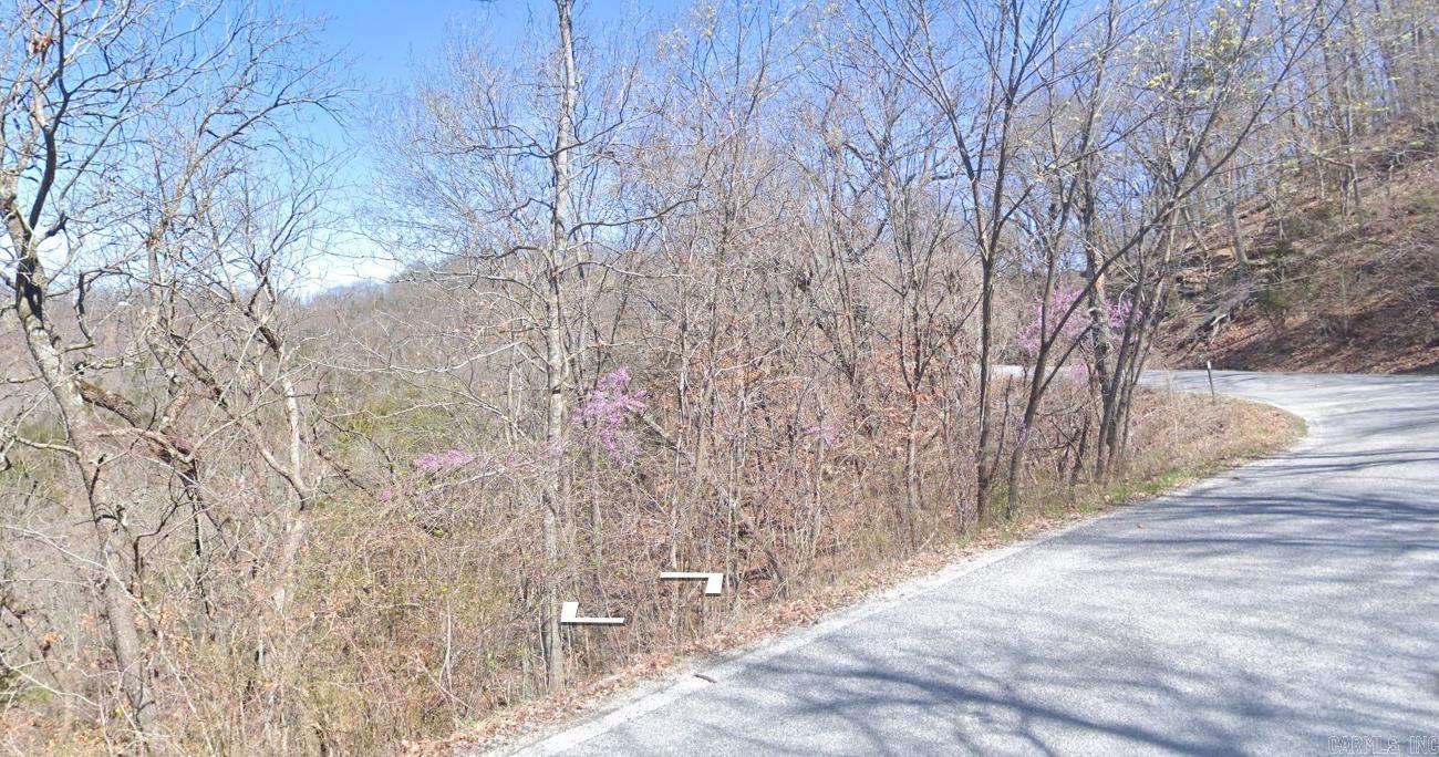 Lot 31 Sunrise Avenue Property Photo 2
