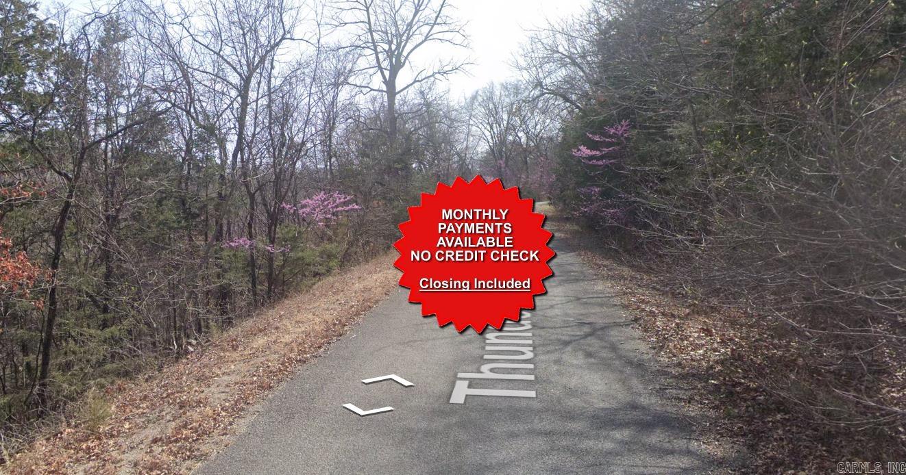 Lot 21 Thunderbird Drive Property Photo 1