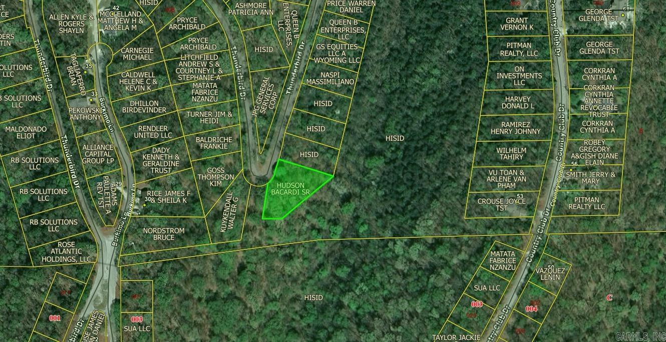 Lot 21 Thunderbird Drive Property Photo 2