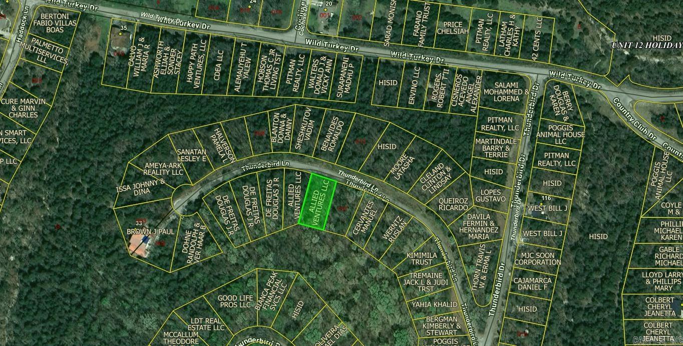 Lot 38 Thunderbird Lane Property Photo 2