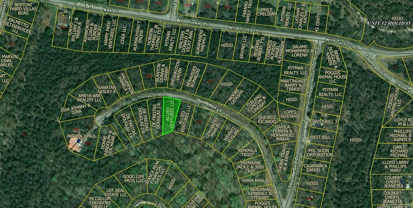 Lot 39 Thunderbird Lane Property Photo 2