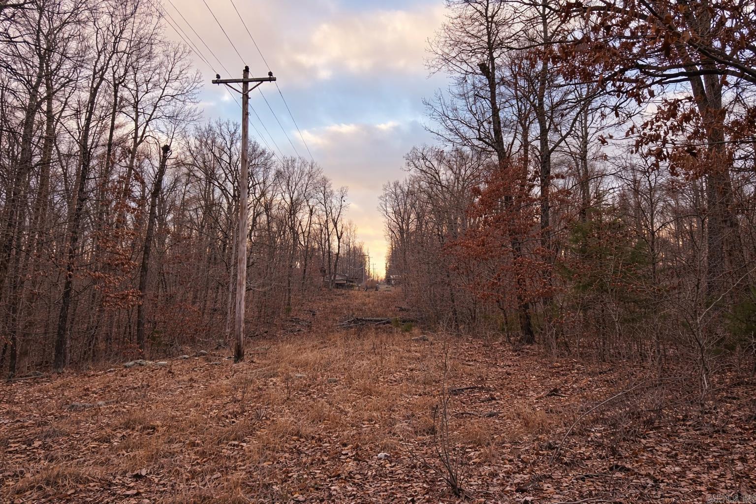 000 Acres Road Property Photo 3