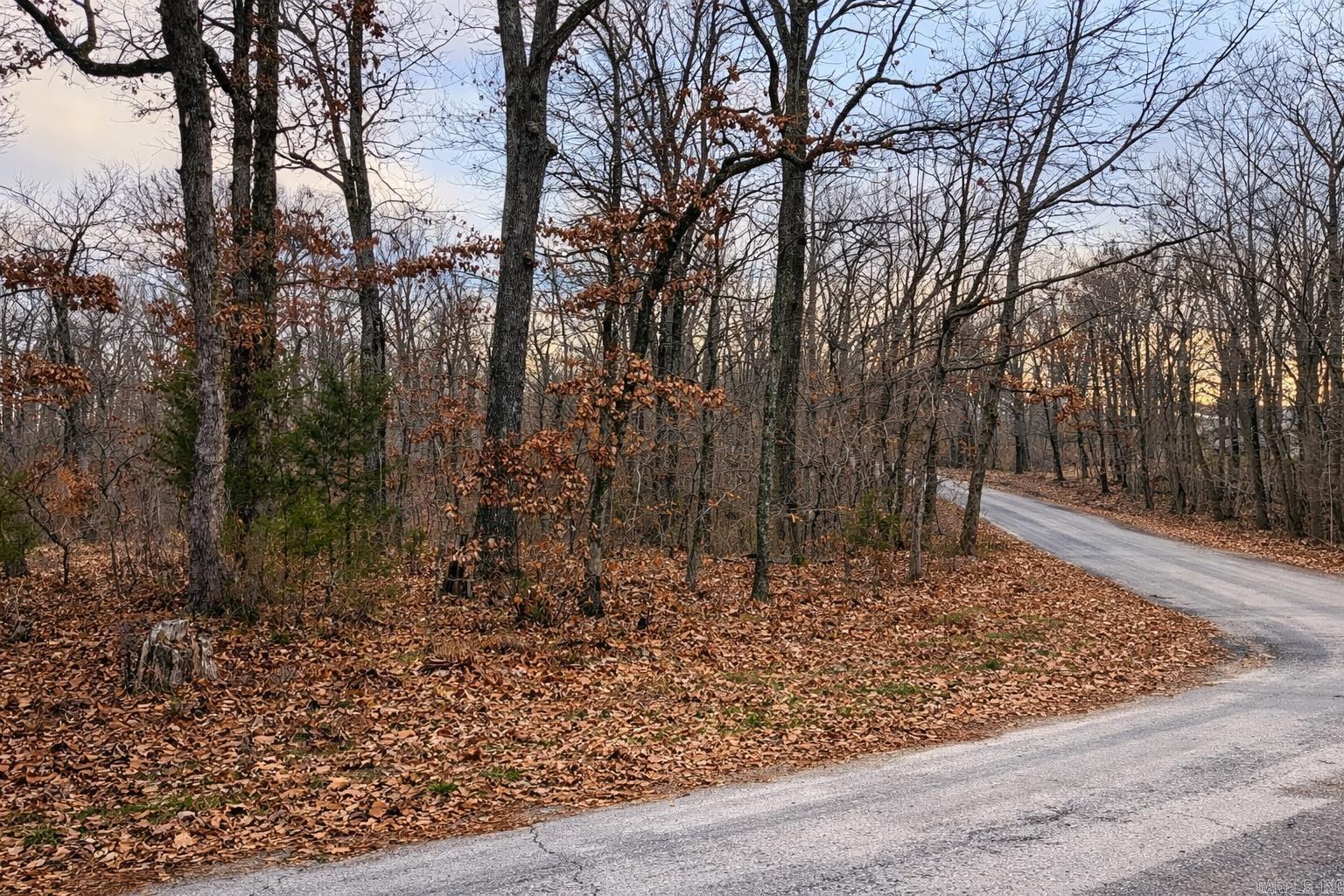 000 Acres Road Property Photo 4