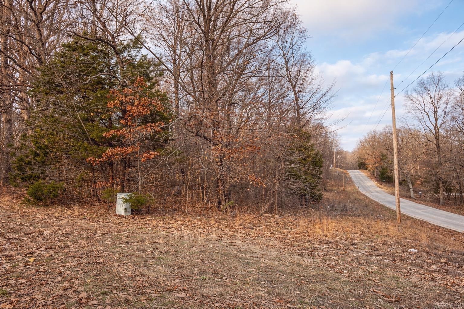 000 Acres Road Property Photo 7