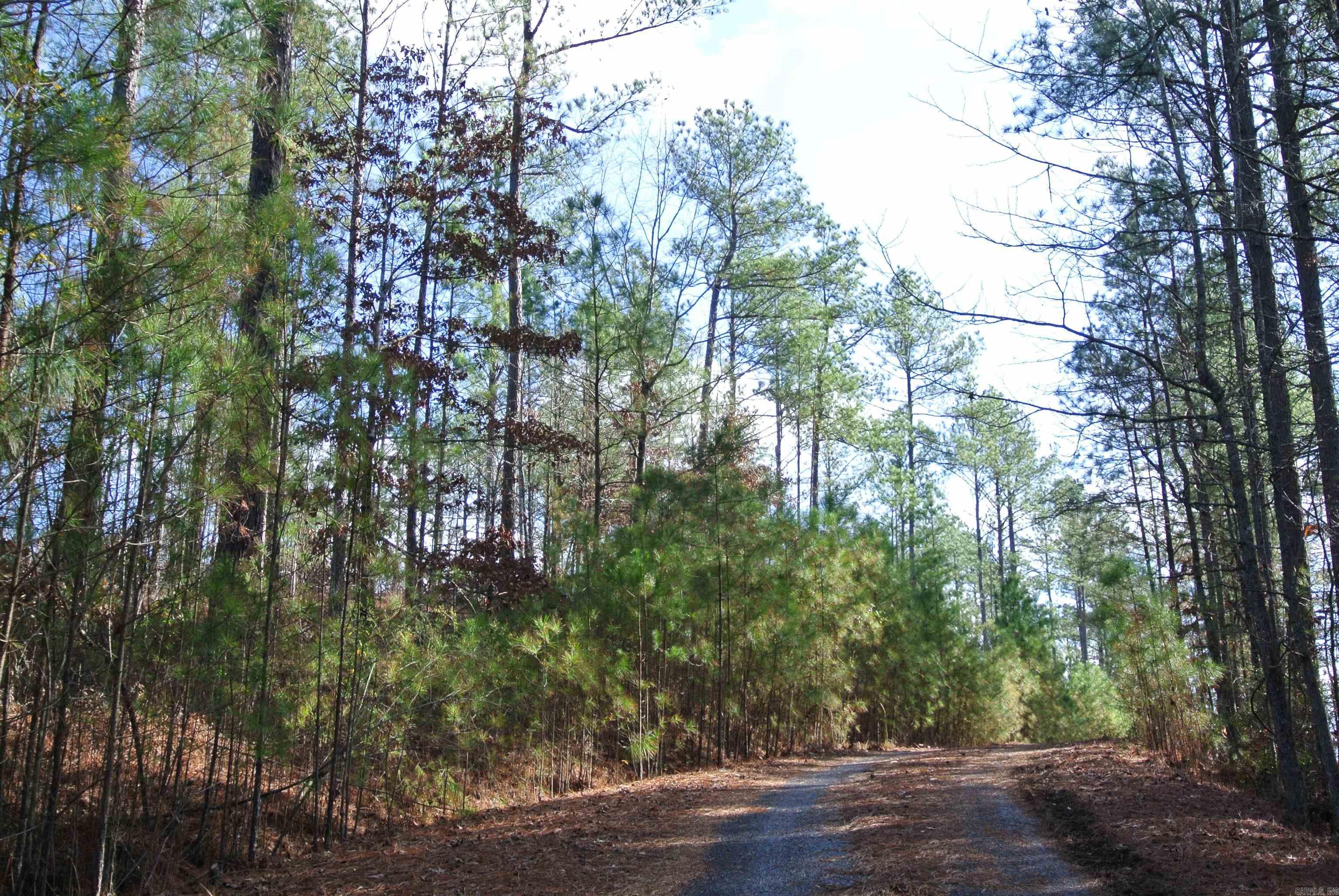 280 Lot B 8.87 Acres Brookhill Ranch Road Property Photo 10