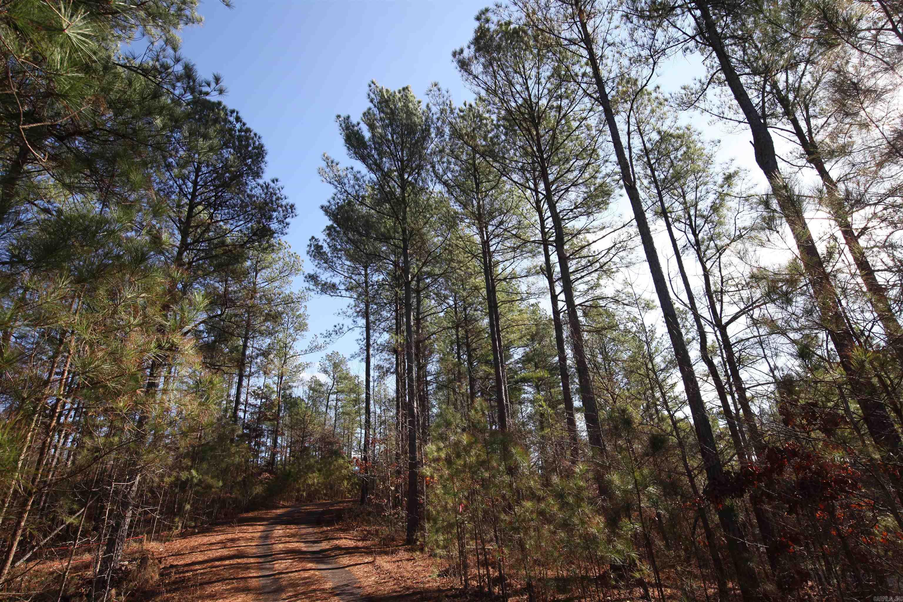 280 Lot B 8.87 Acres Brookhill Ranch Road Property Photo 11