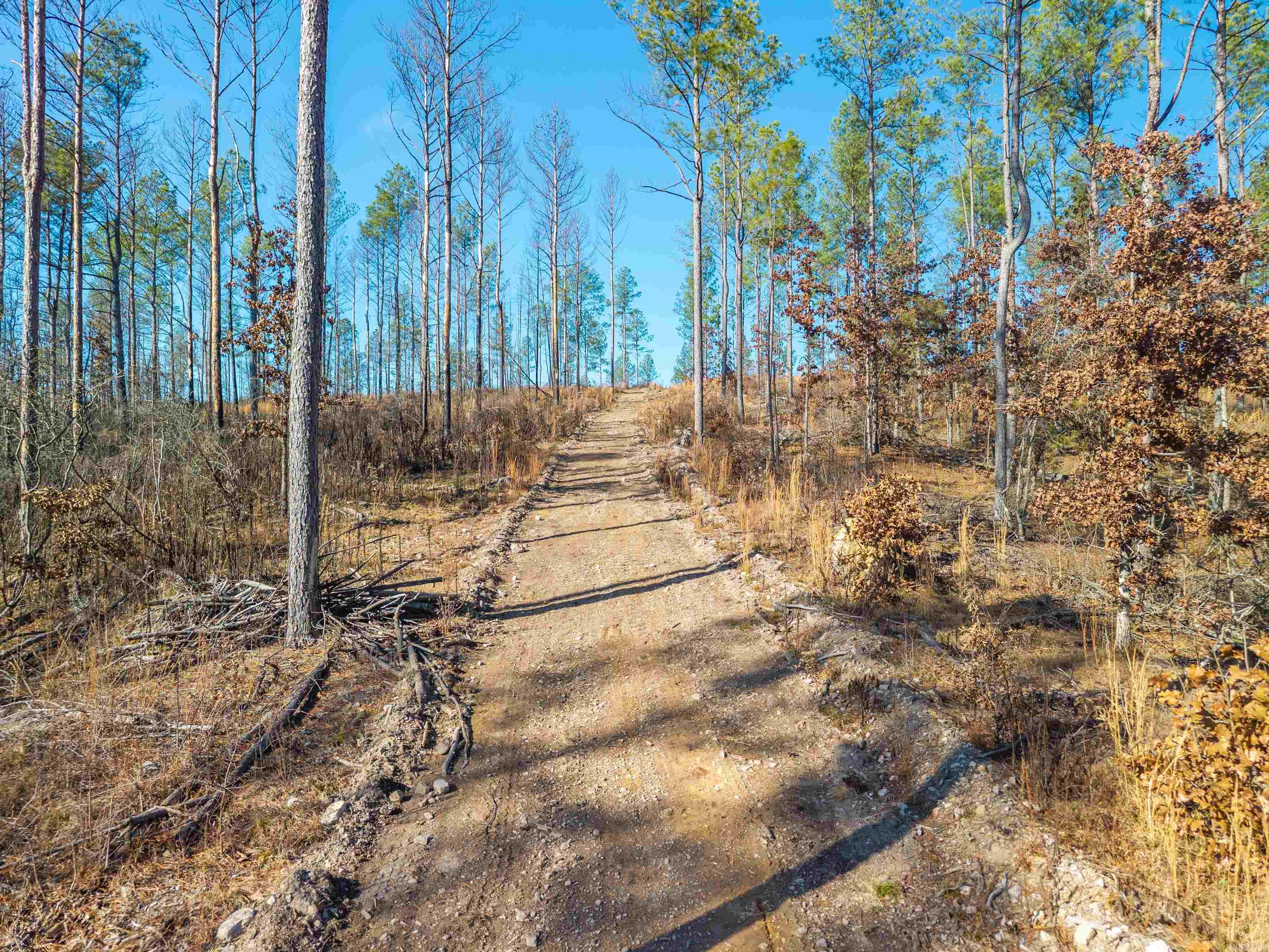 280 Lot B 8.87 Acres Brookhill Ranch Road Property Photo 13