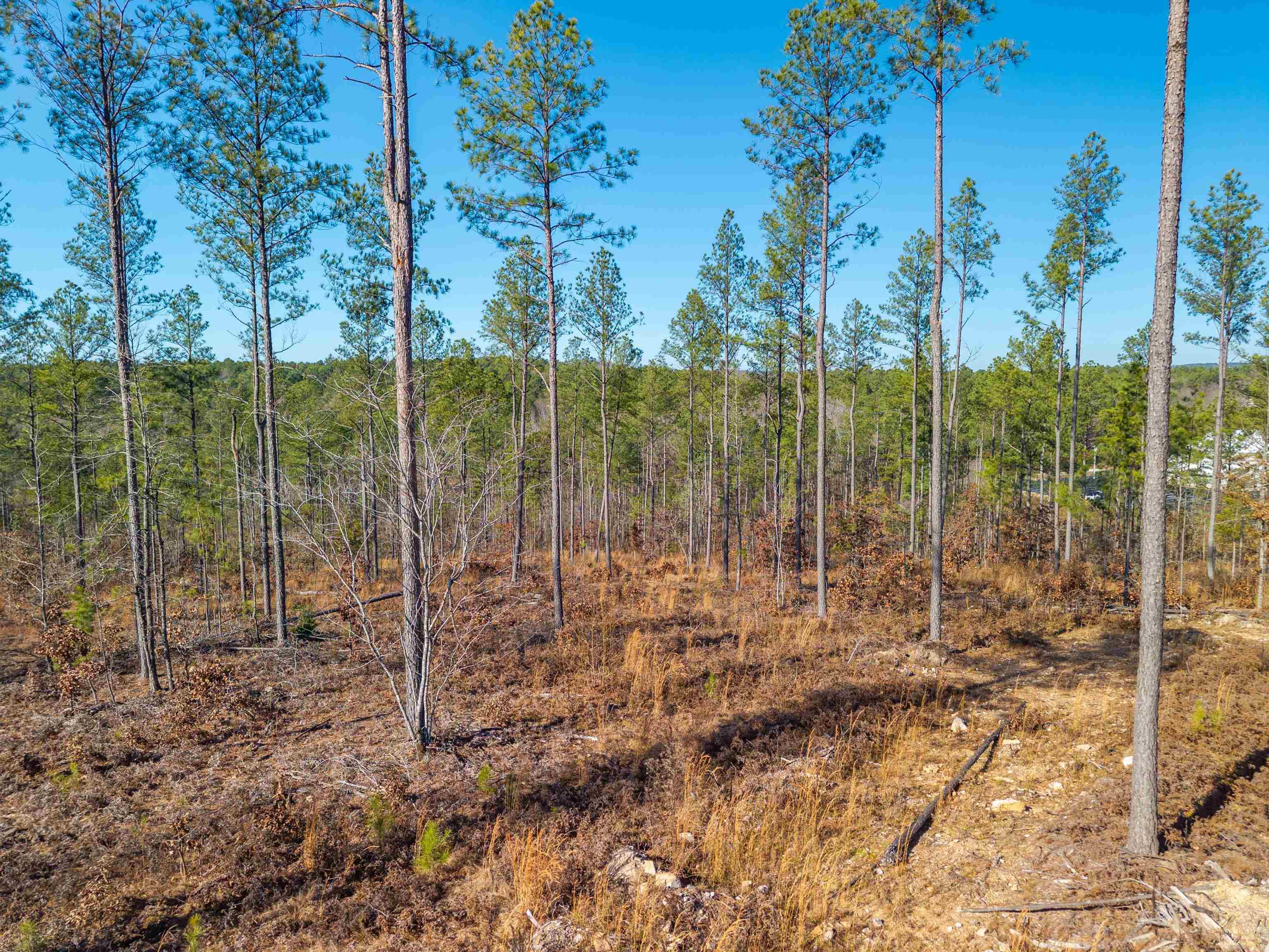 280 Lot B 8.87 Acres Brookhill Ranch Road Property Photo 14