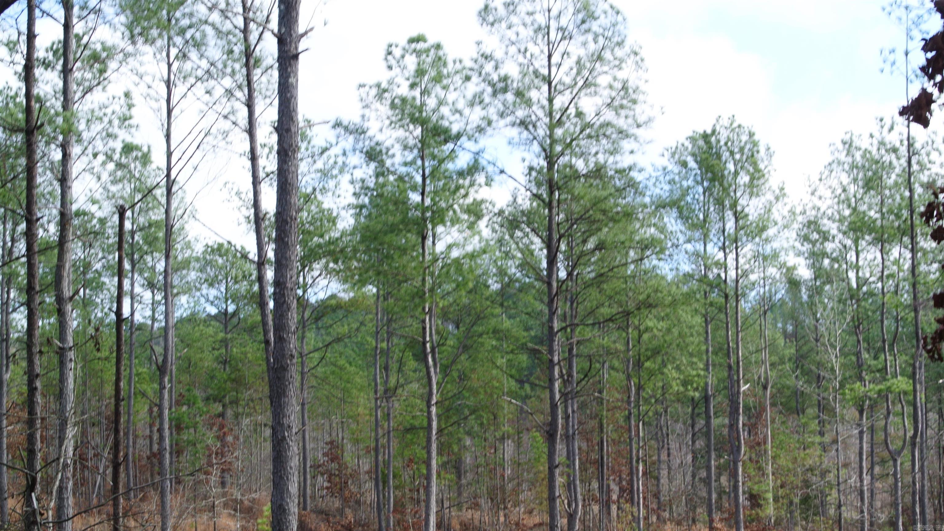 280 Lot B 8.87 Acres Brookhill Ranch Road Property Photo 16