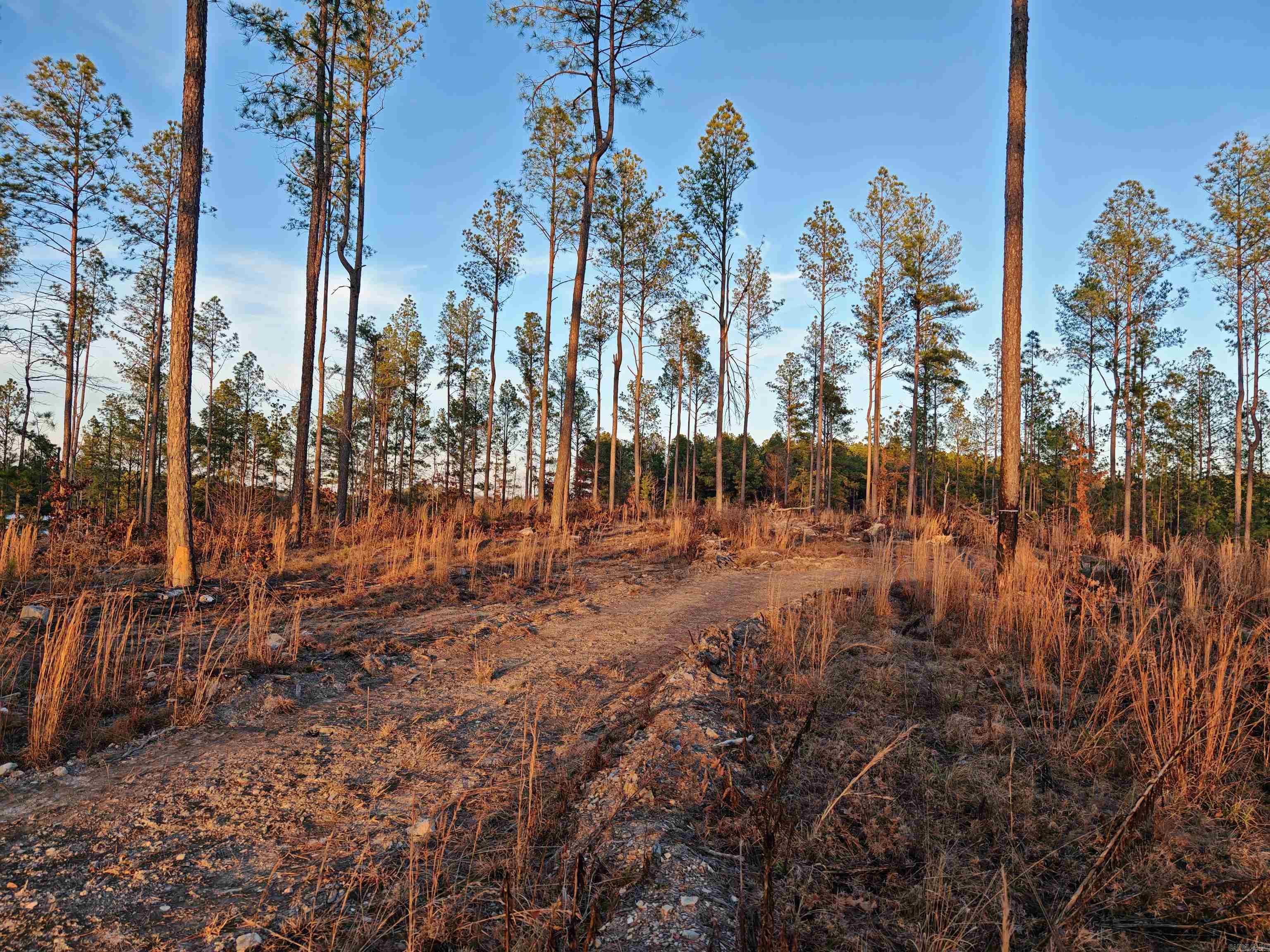 280 Lot B 8.87 Acres Brookhill Ranch Road Property Photo 30