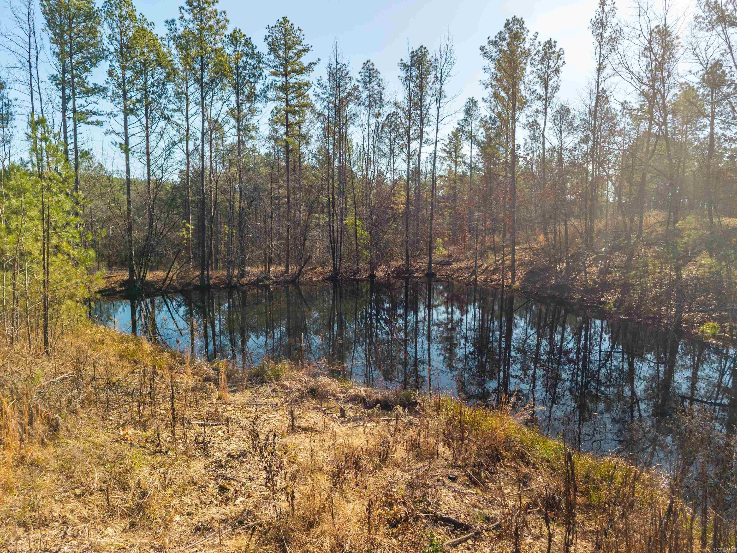 280 Lot C 6.5 Acres Brookhill Ranch Road Property Photo 13