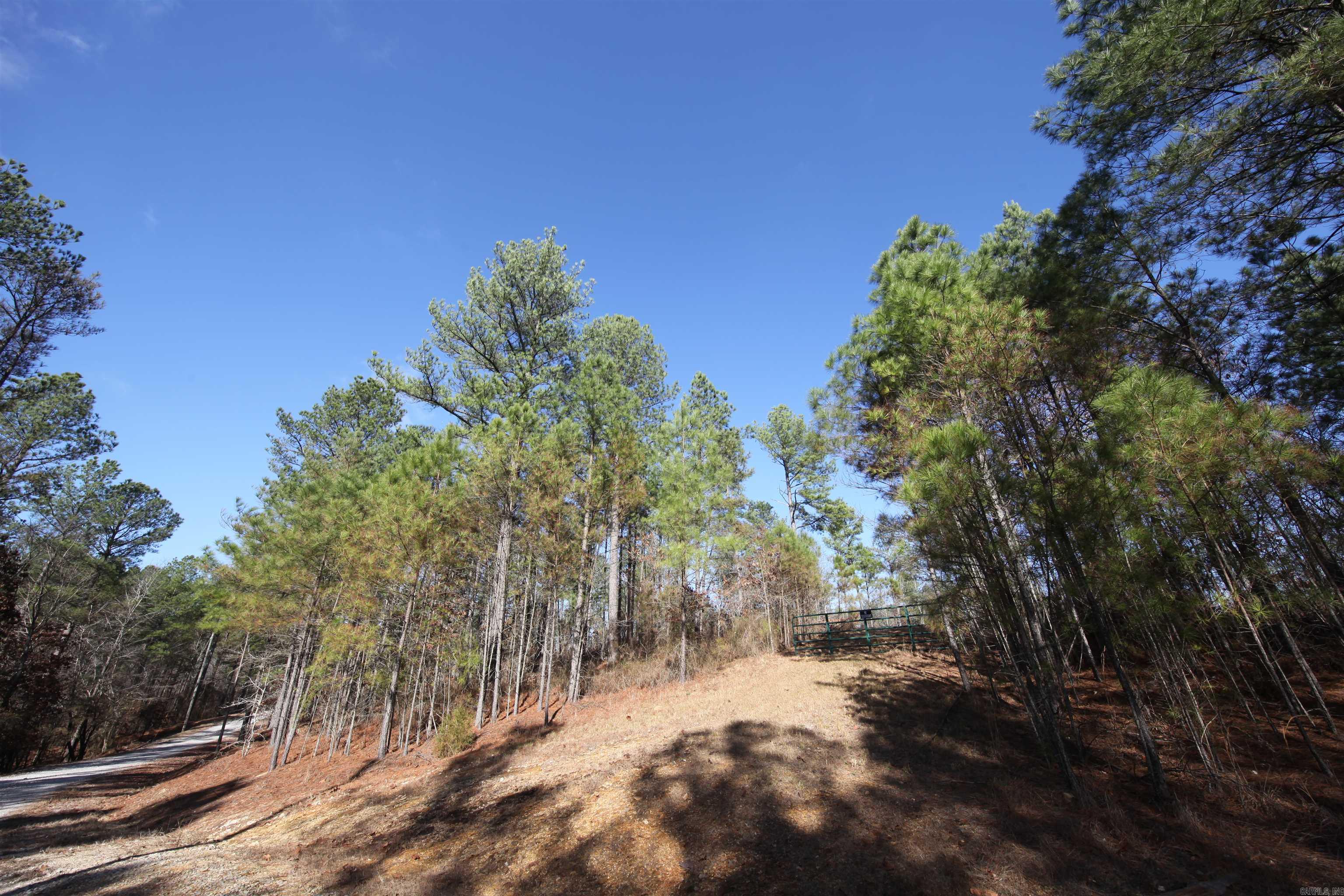 280 Lot C 6.5 Acres Brookhill Ranch Road Property Photo 20