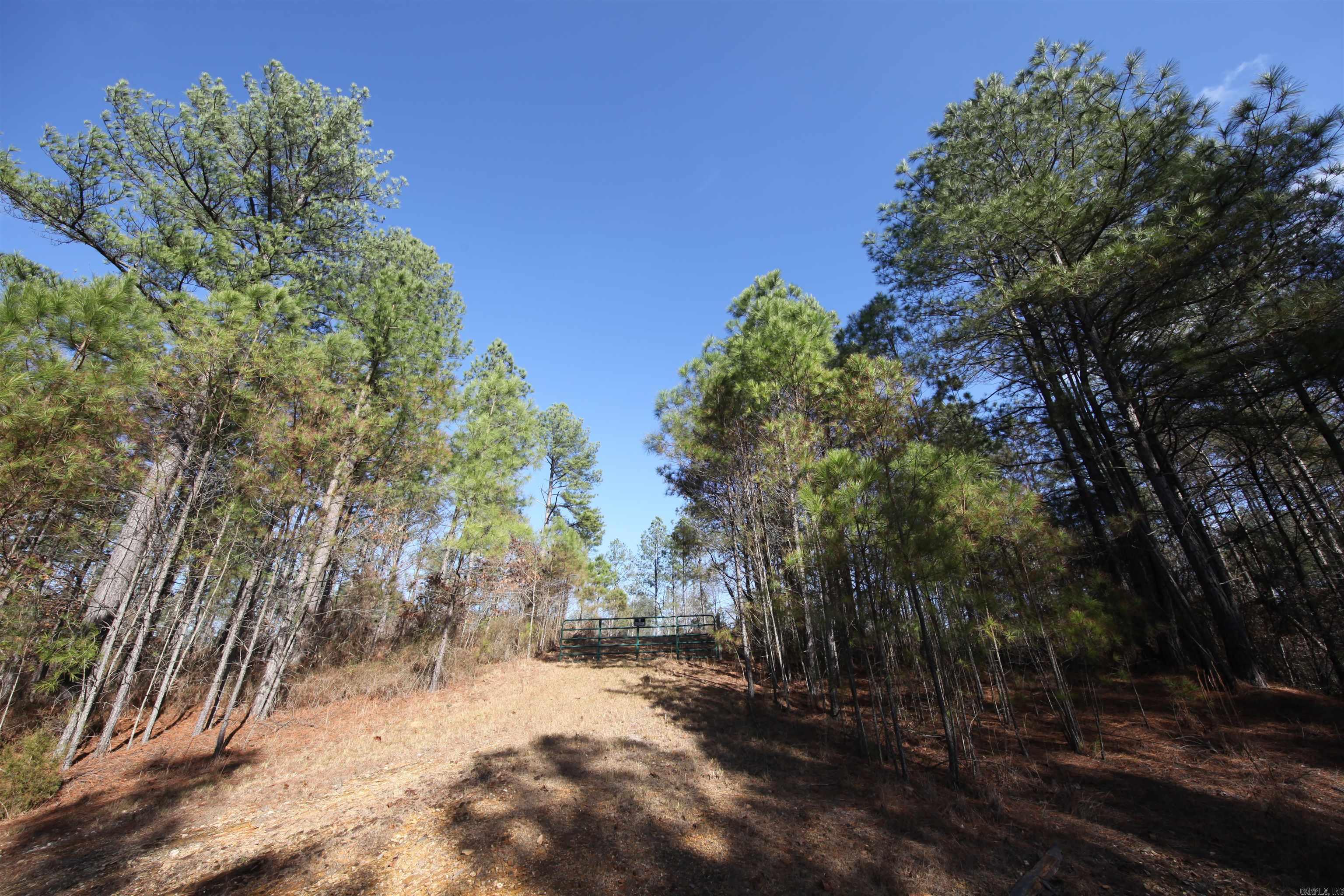 280 Lot C 6.5 Acres Brookhill Ranch Road Property Photo 21