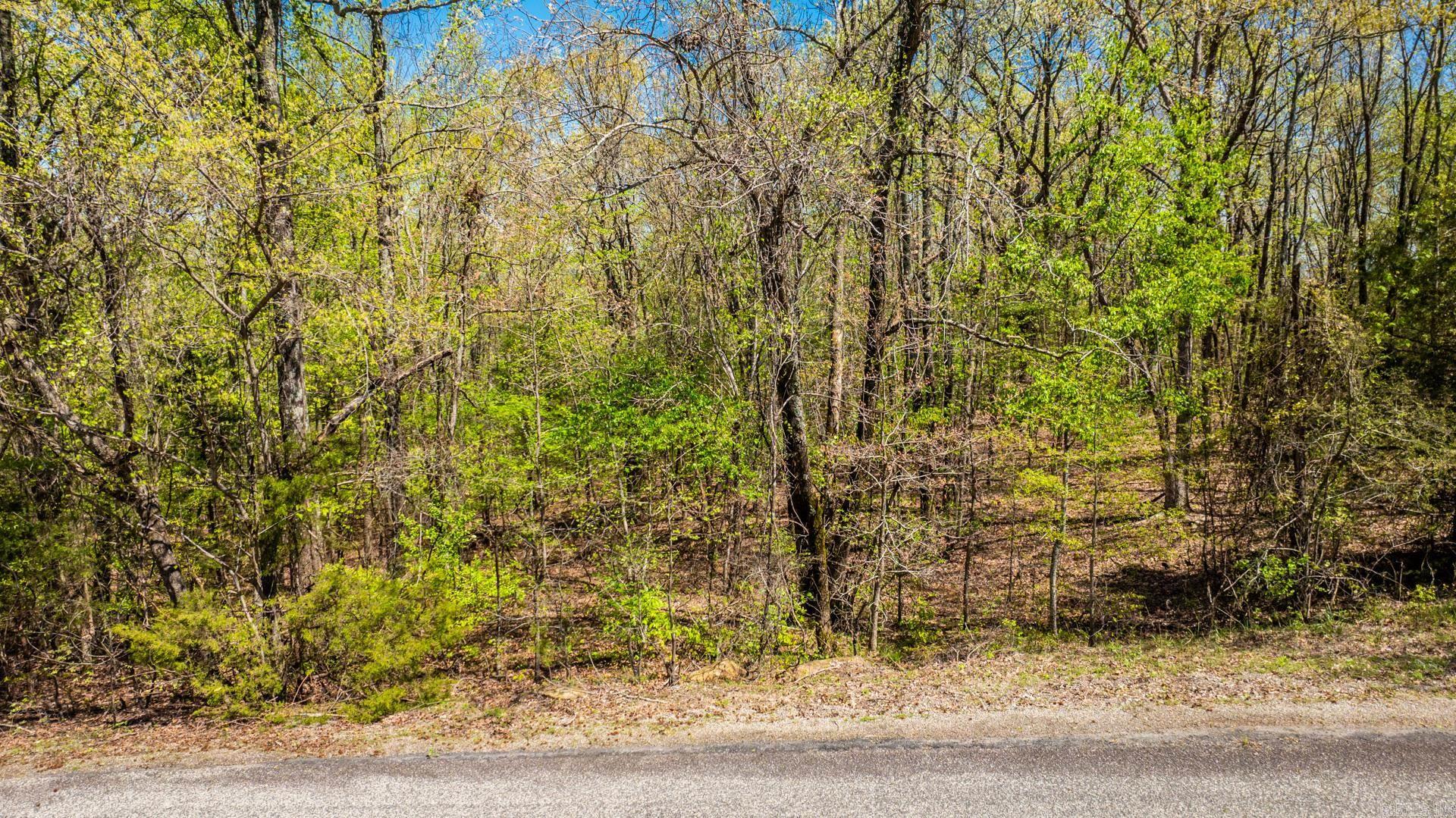 00 River View Property Photo 21