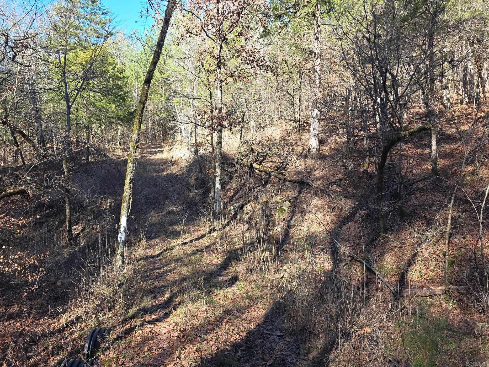 Tbd To Be Named Property Photo 3