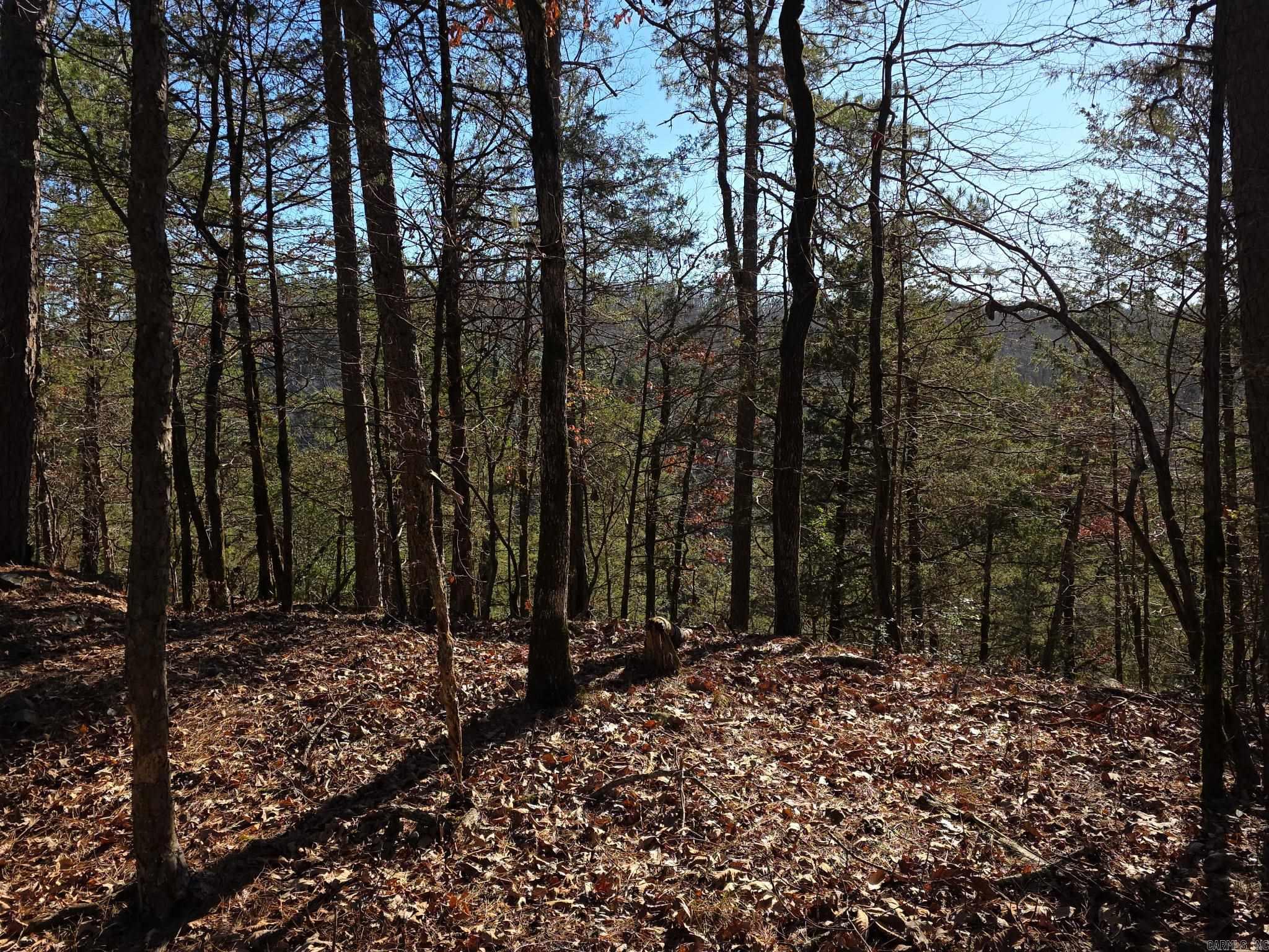 Tbd To Be Named Property Photo 5