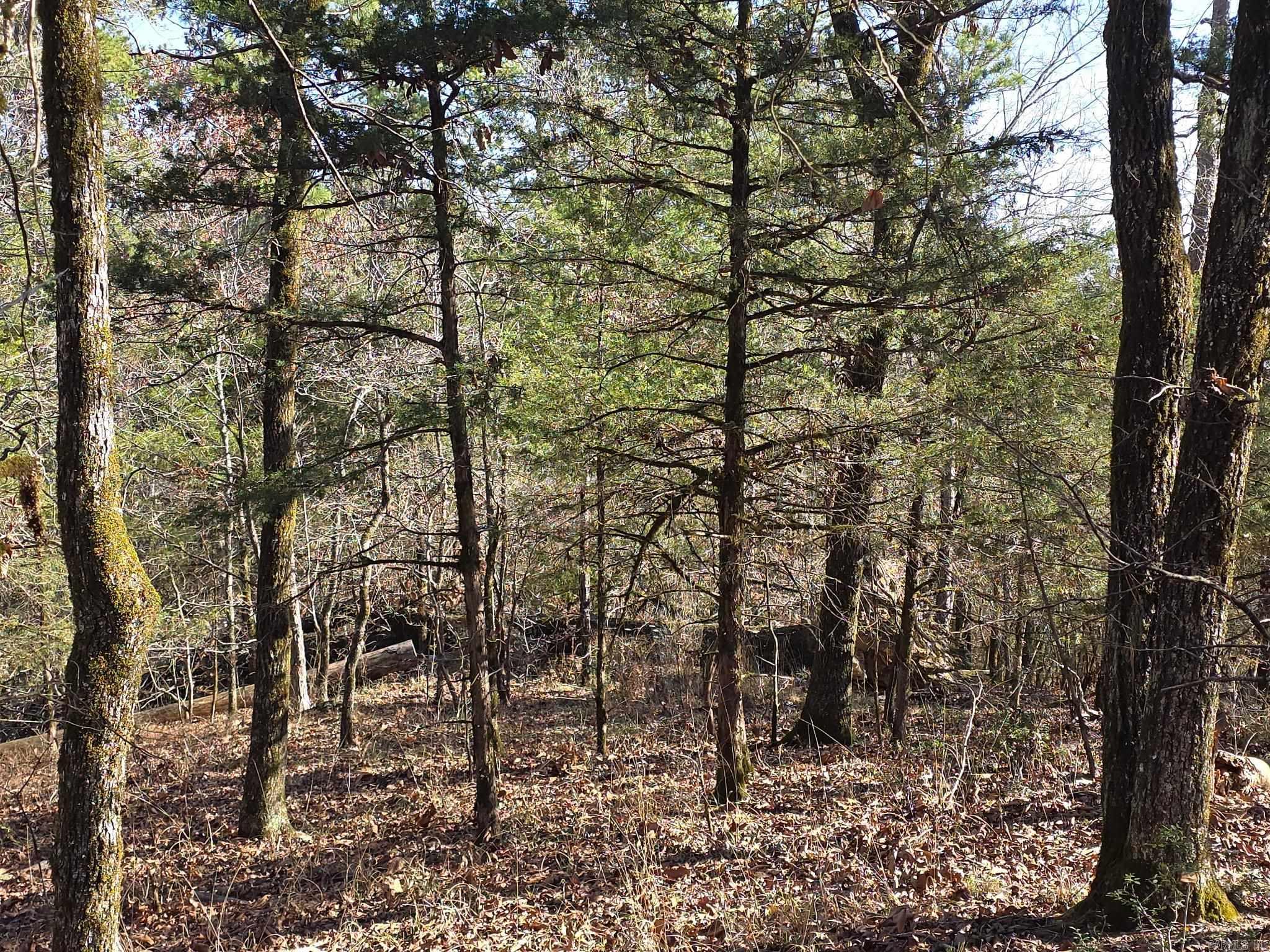 Tbd To Be Named Property Photo 7