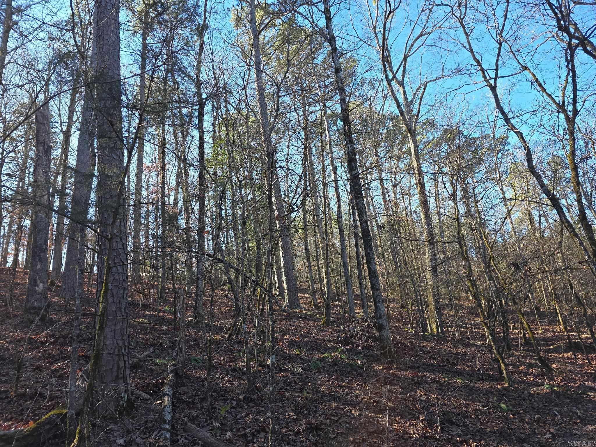 Tbd To Be Named Property Photo 9