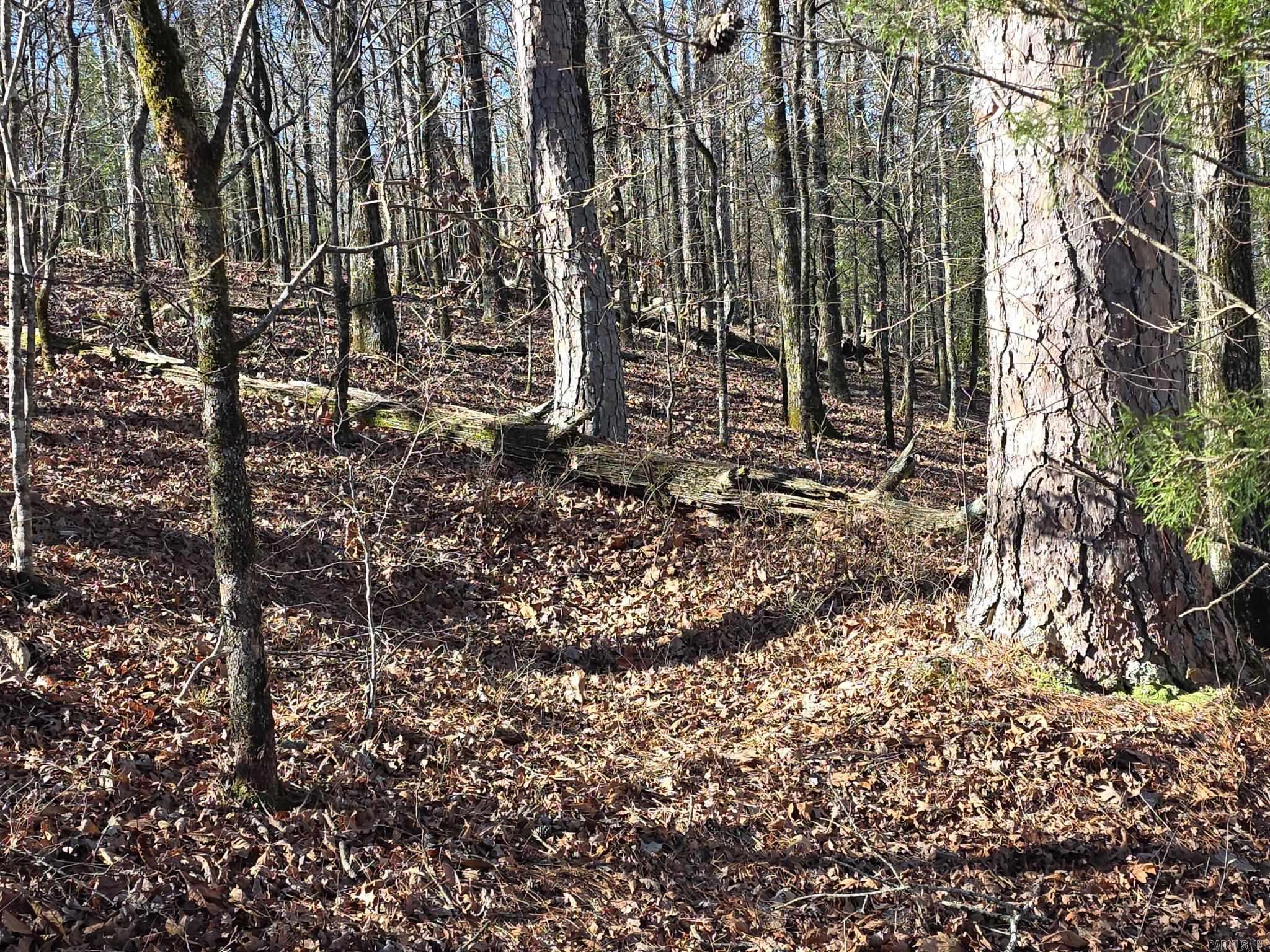 Tbd To Be Named Property Photo 11