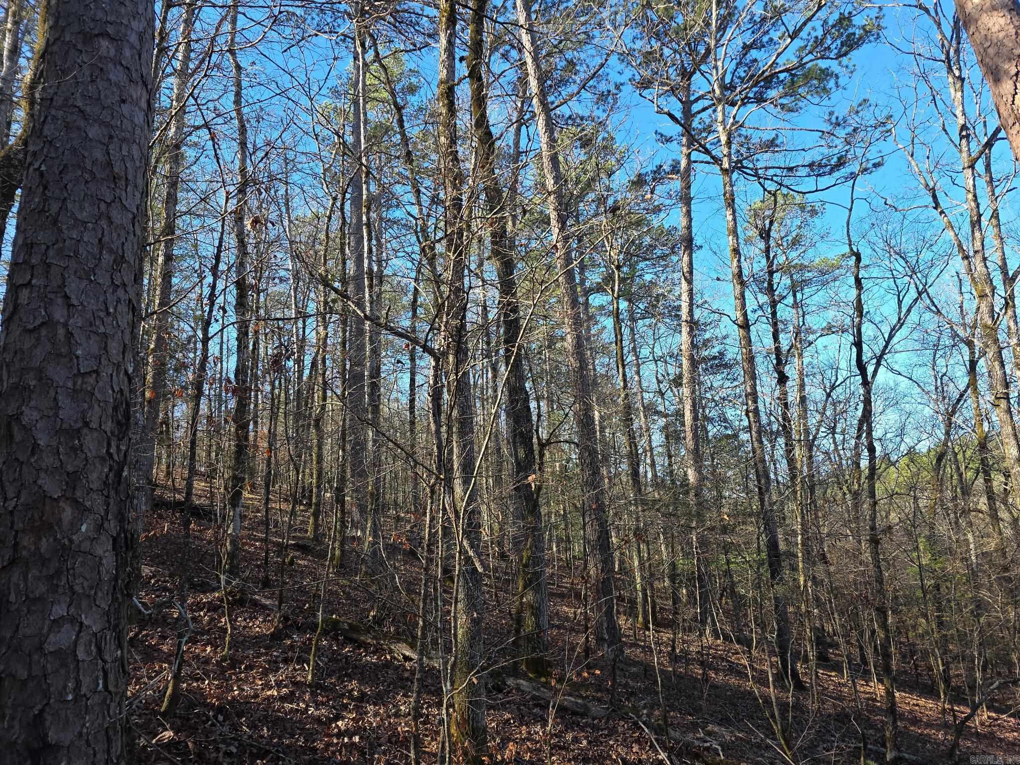 Tbd To Be Named Property Photo 12