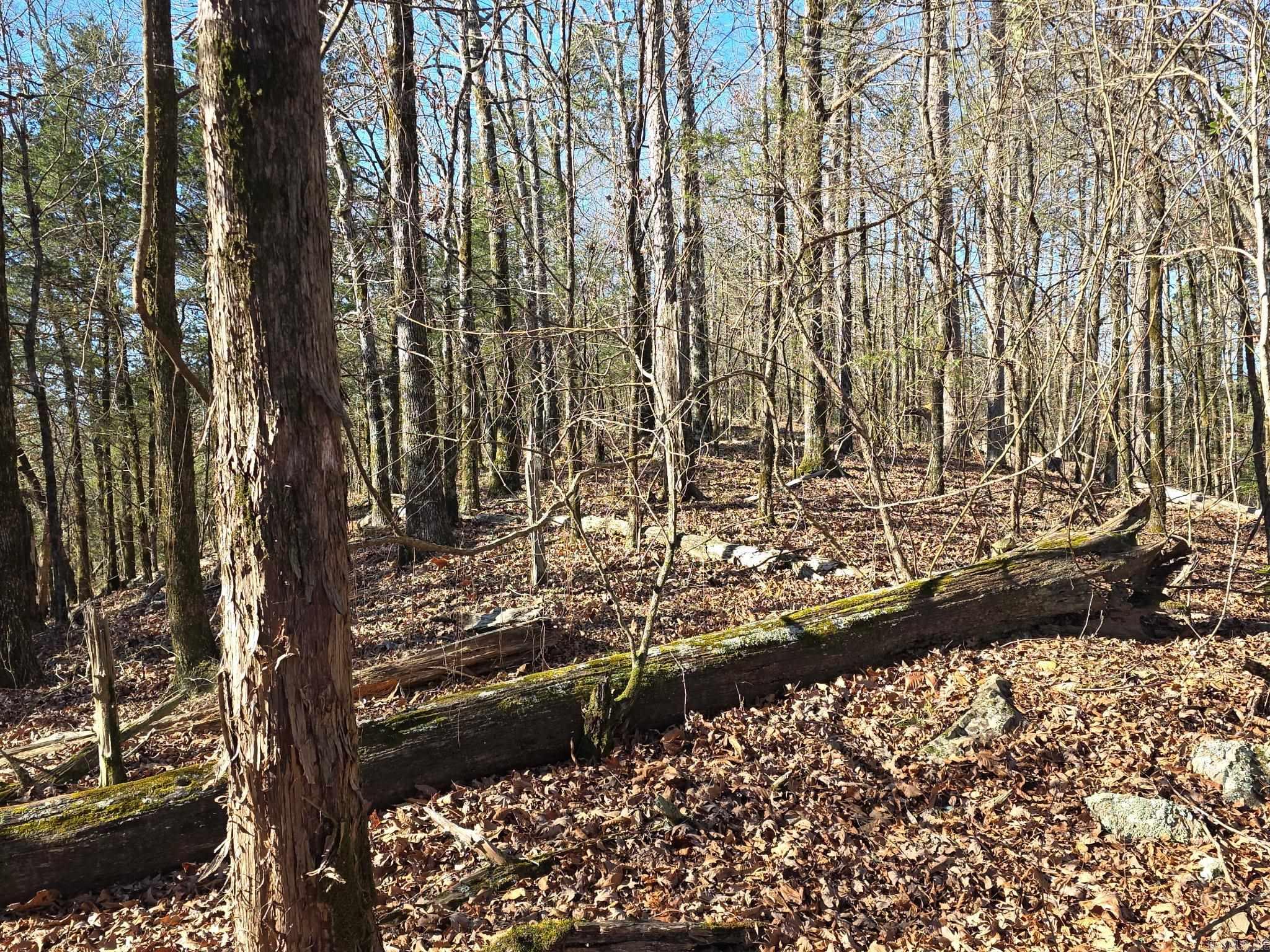 Tbd To Be Named Property Photo 20