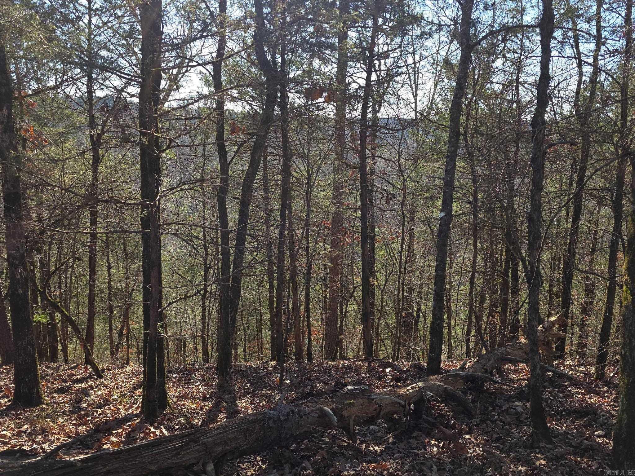 Tbd To Be Named Property Photo 22