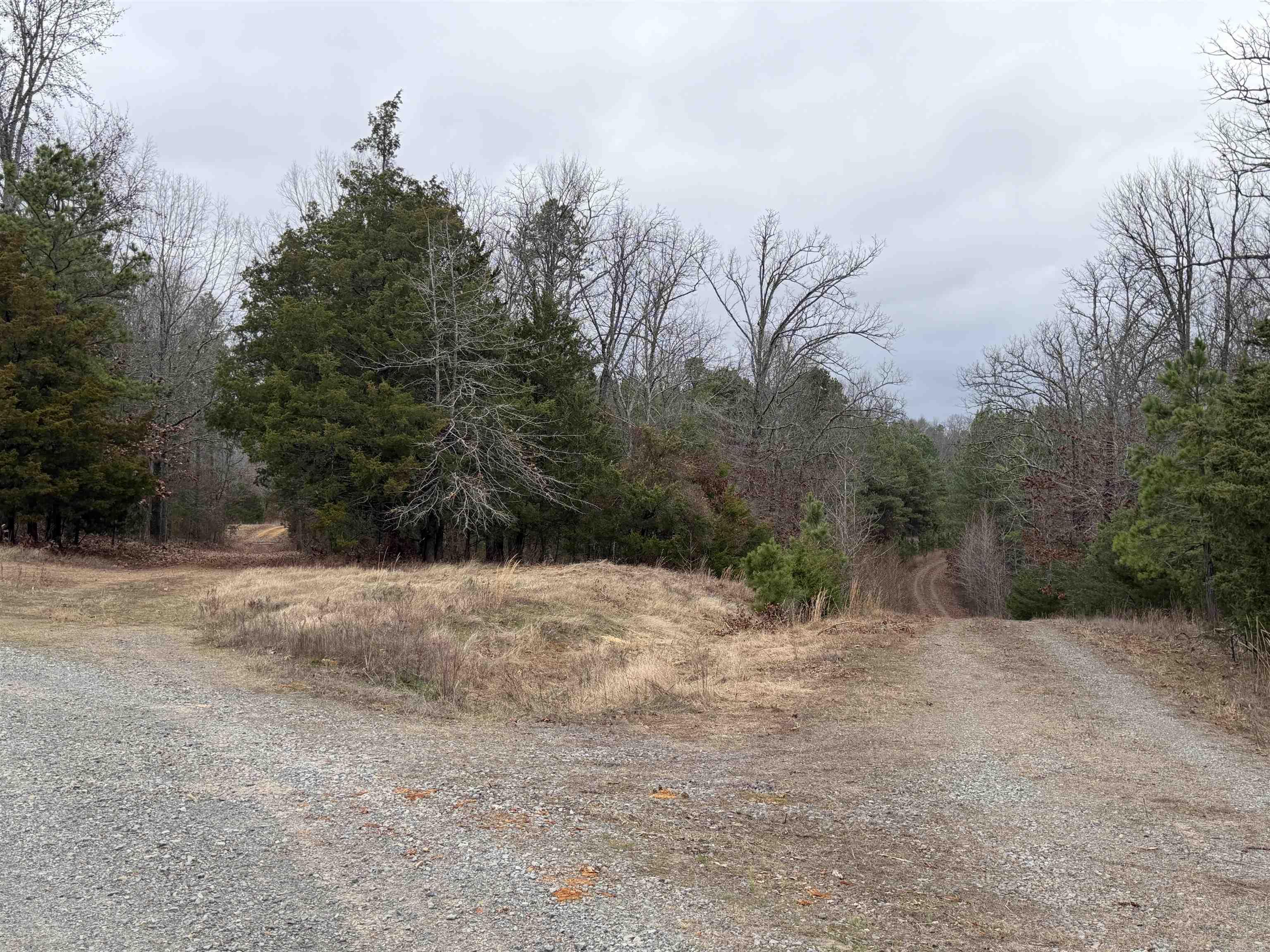 255 Sweet Gum Hollow Road Property Photo 11