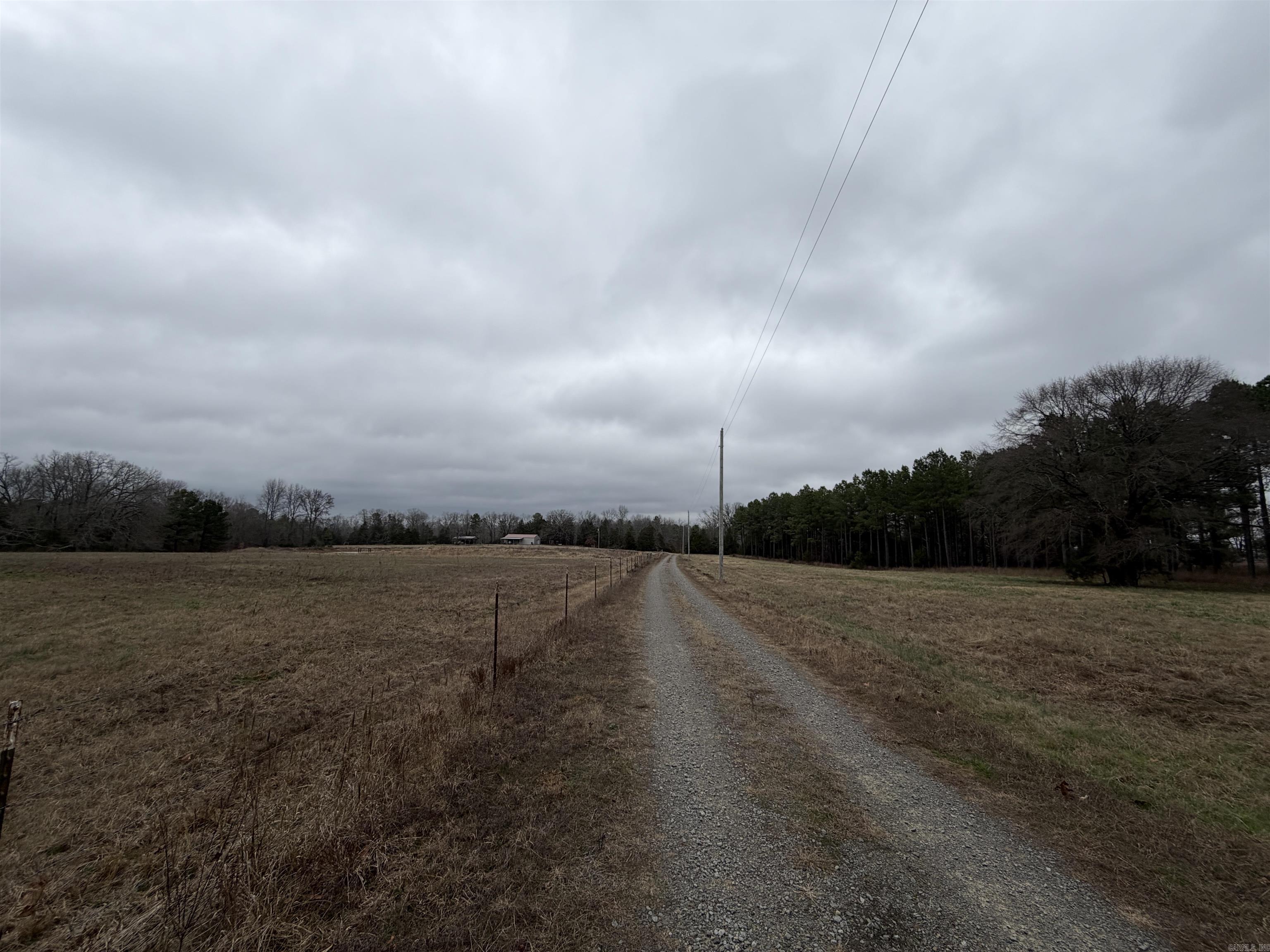 255 Sweet Gum Hollow Road Property Photo 12