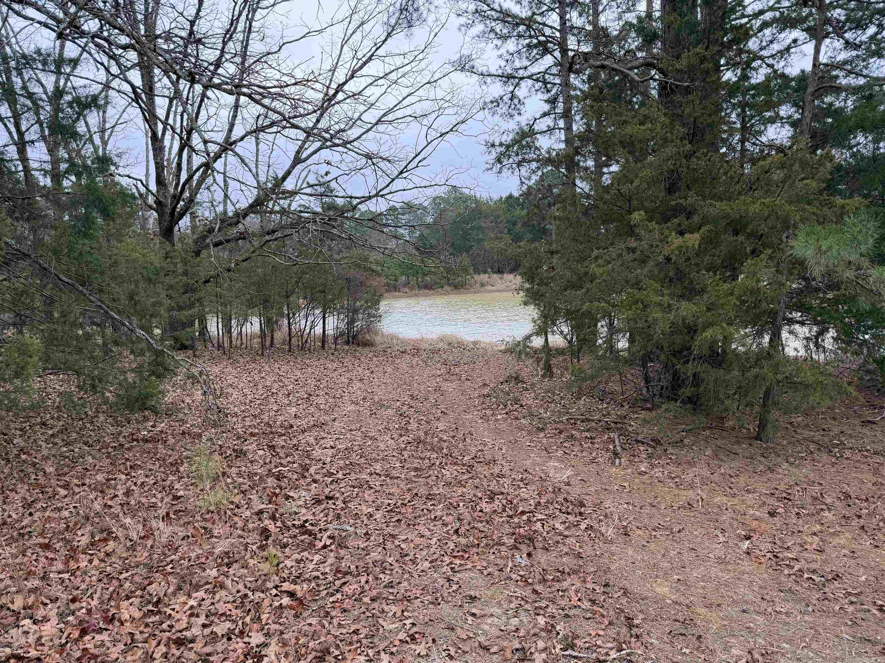 255 Sweet Gum Hollow Road Property Photo 13