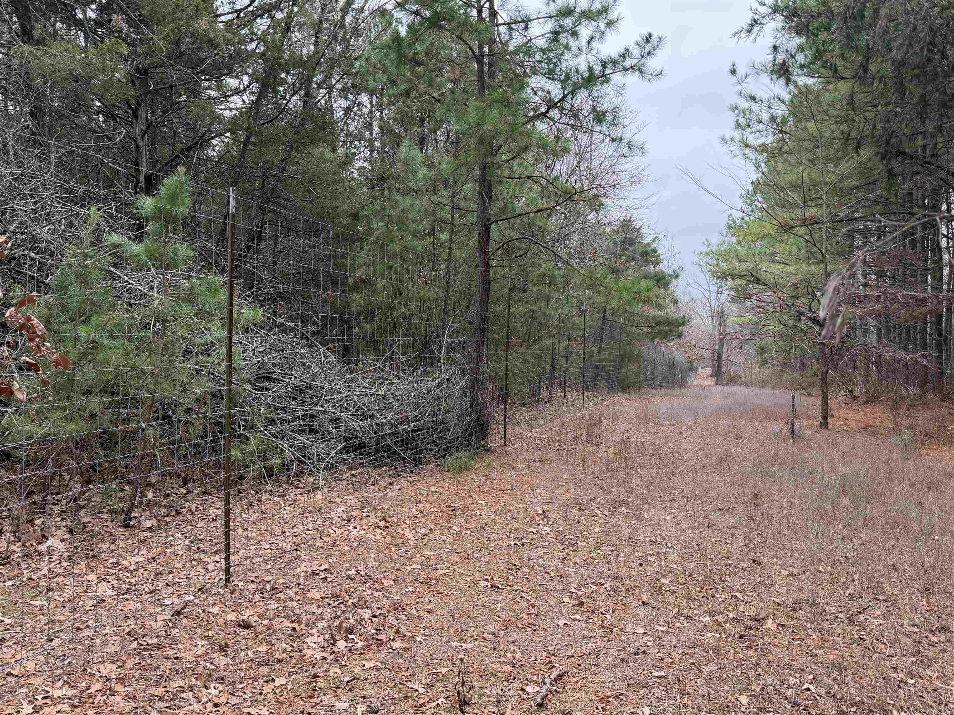 255 Sweet Gum Hollow Road Property Photo 14