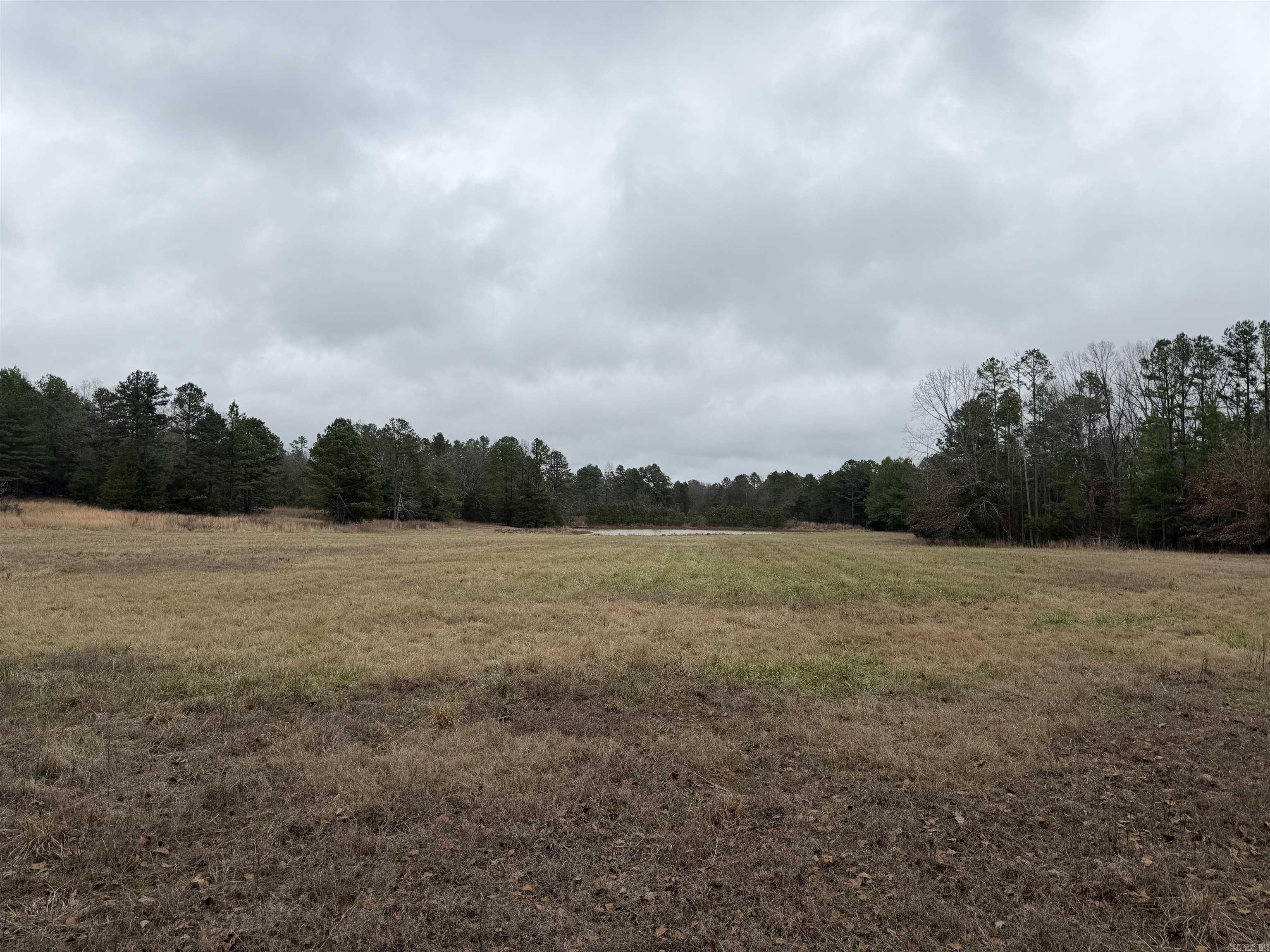 255 Sweet Gum Hollow Road Property Photo 16