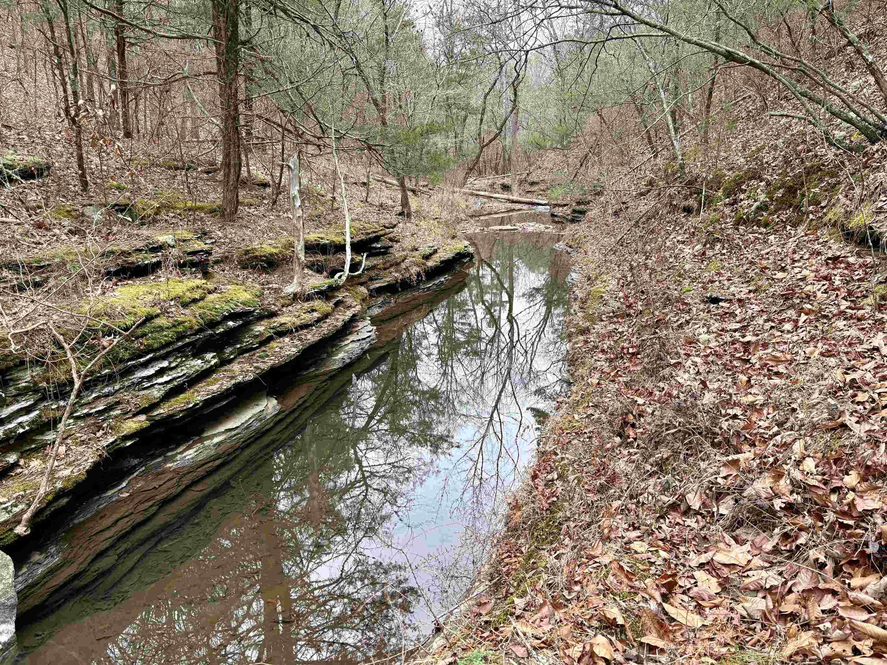 255 Sweet Gum Hollow Road Property Photo 17