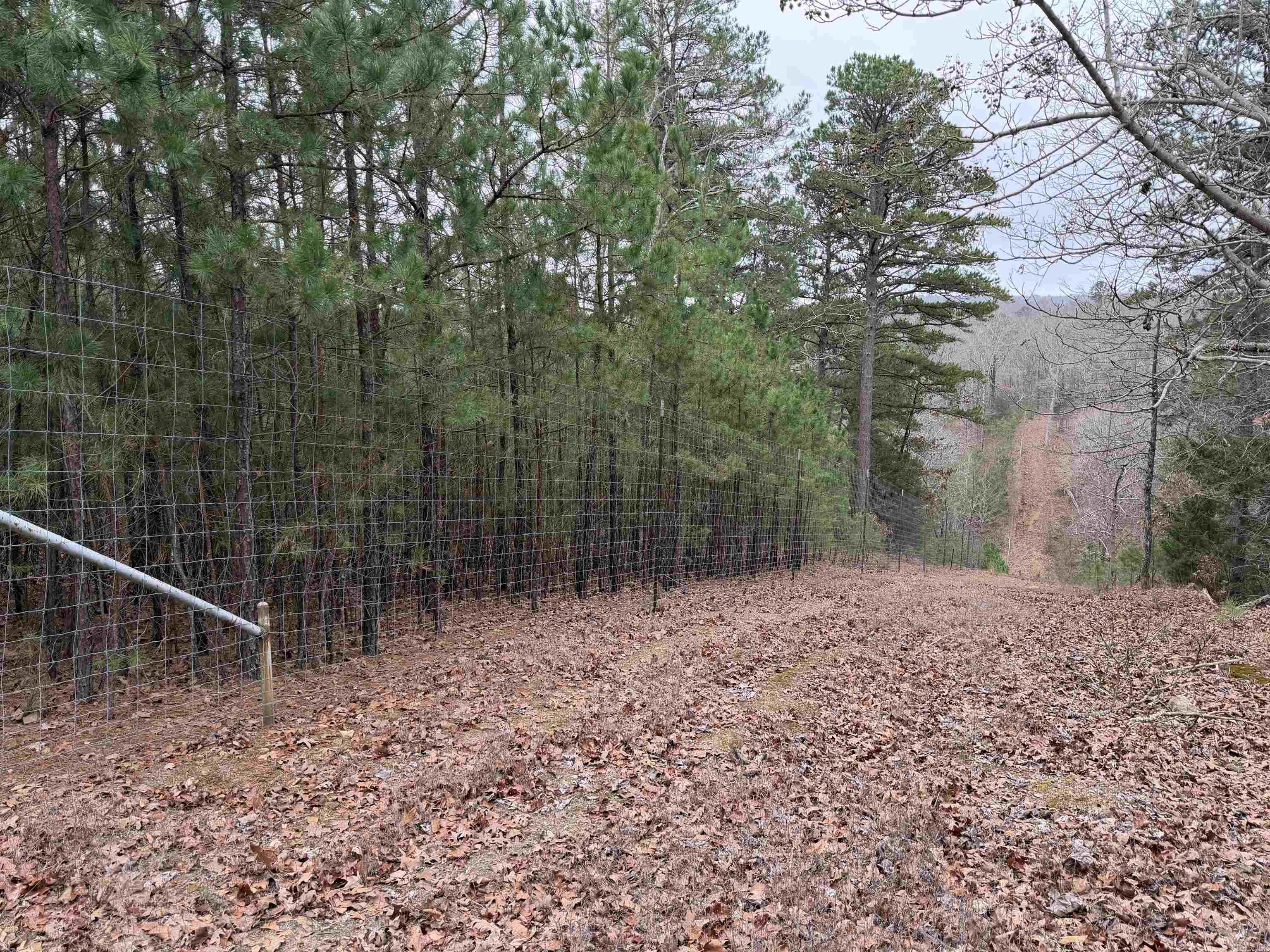 255 Sweet Gum Hollow Road Property Photo 18