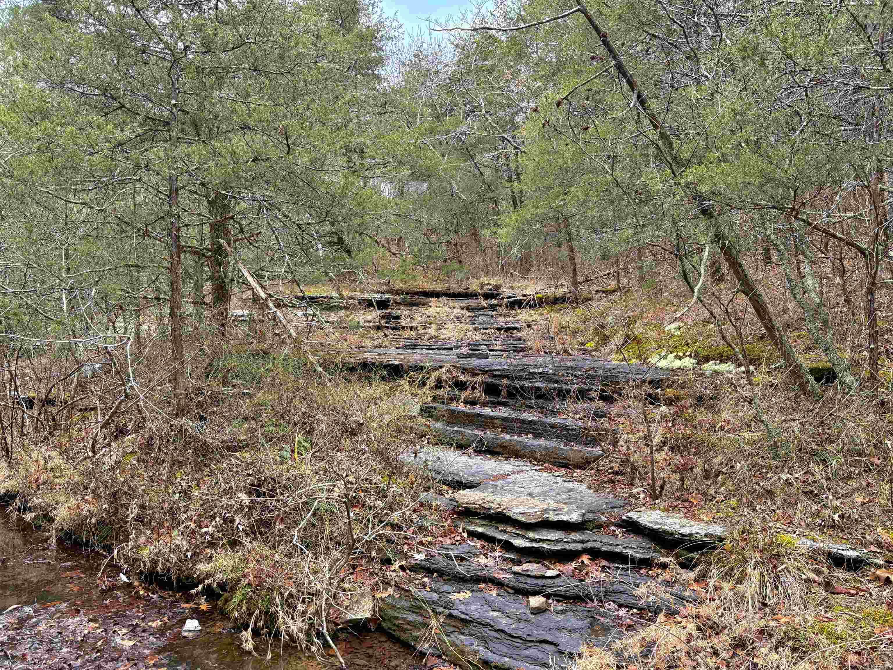255 Sweet Gum Hollow Road Property Photo 19