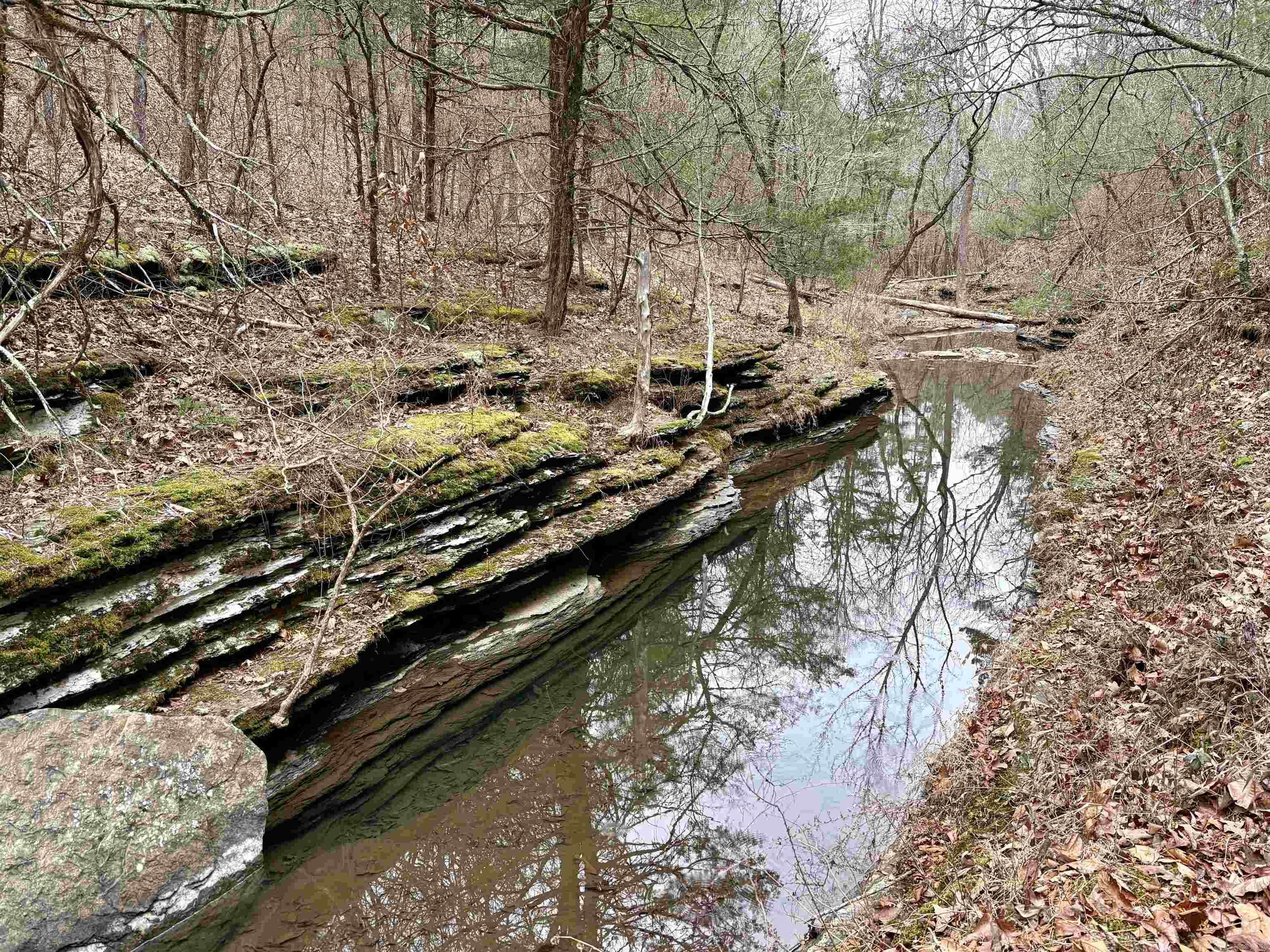 255 Sweet Gum Hollow Road Property Photo 20