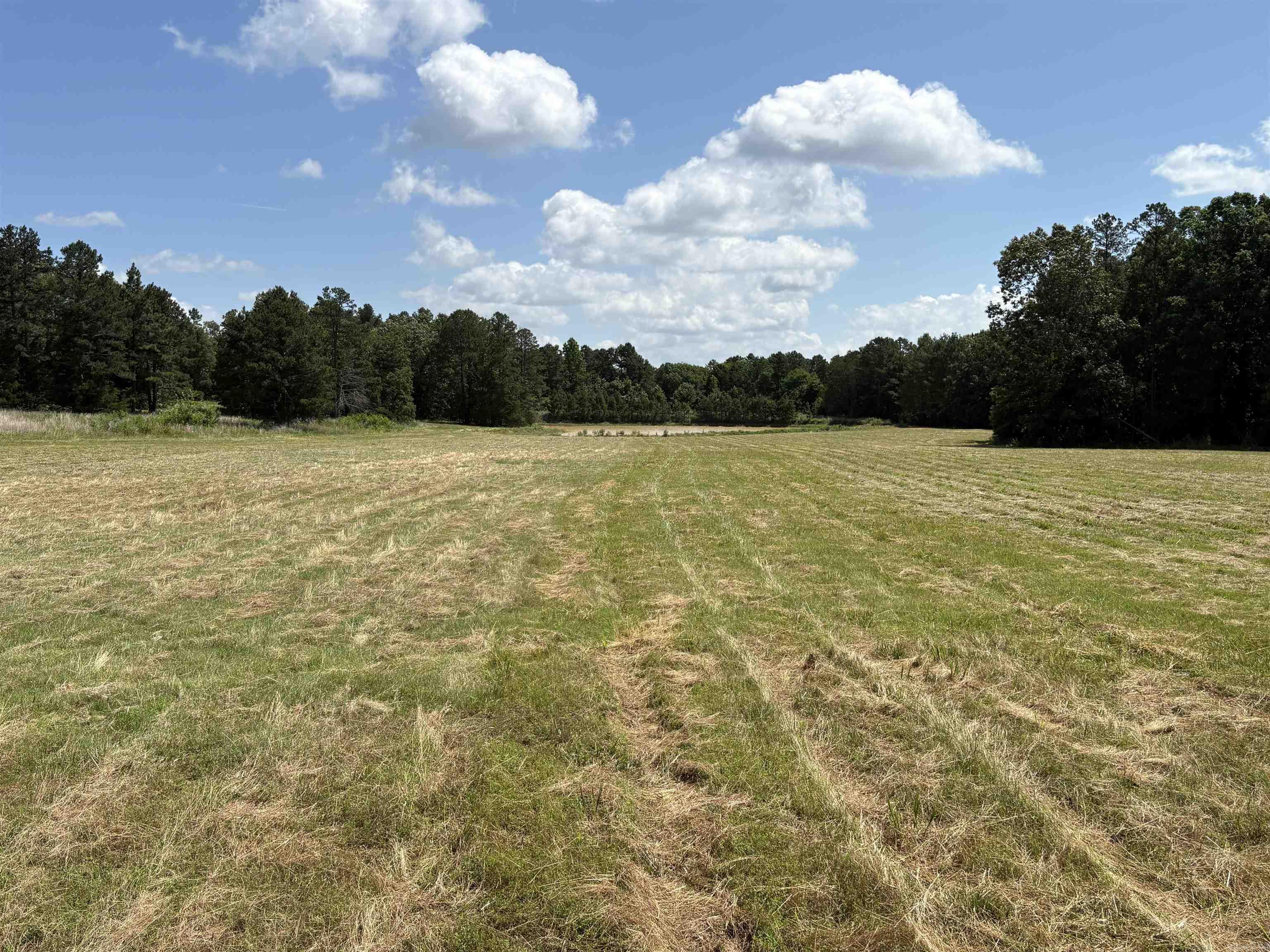 255 Sweet Gum Hollow Road Property Photo 24