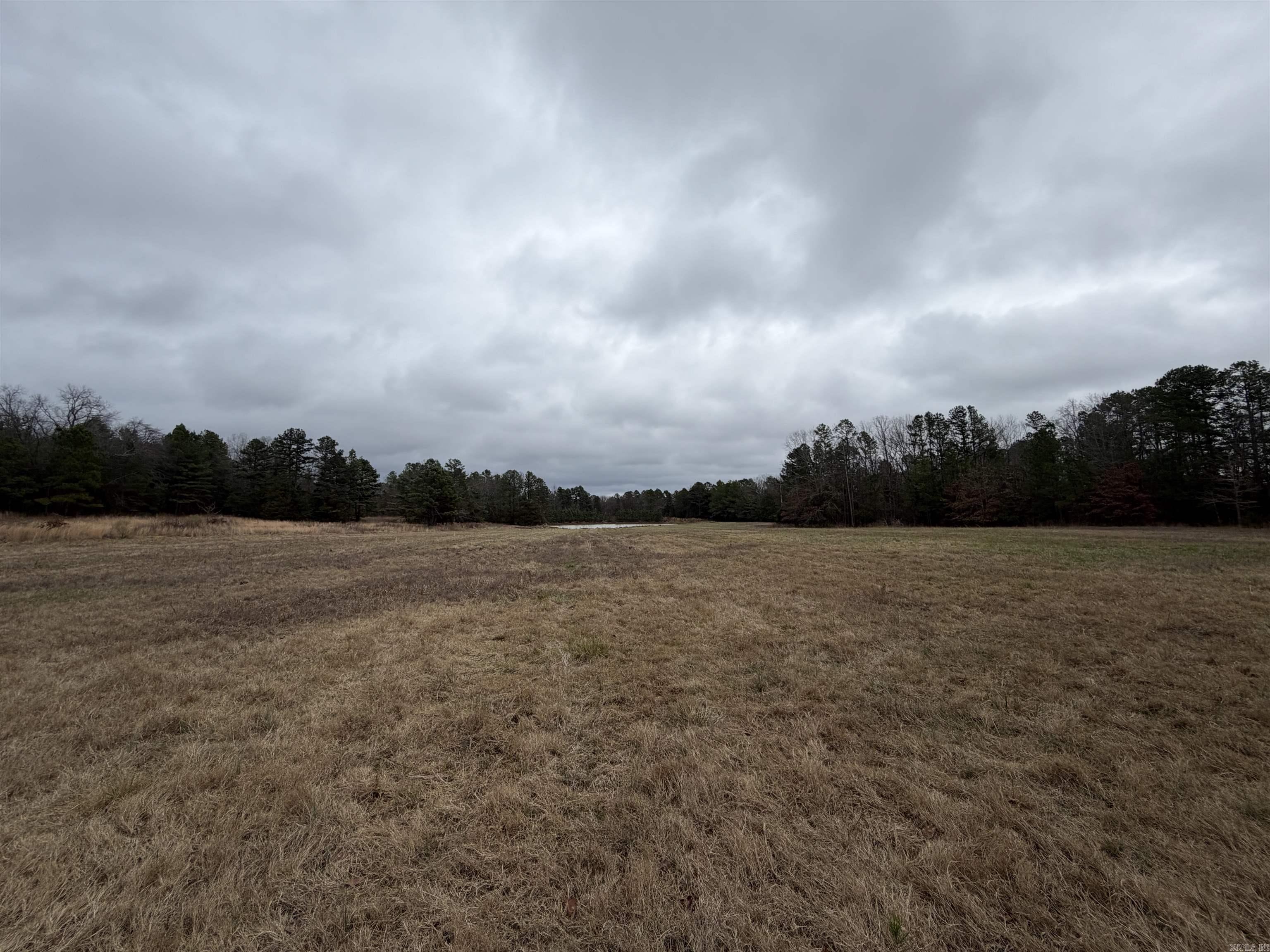 255 Sweet Gum Hollow Road Property Photo 37
