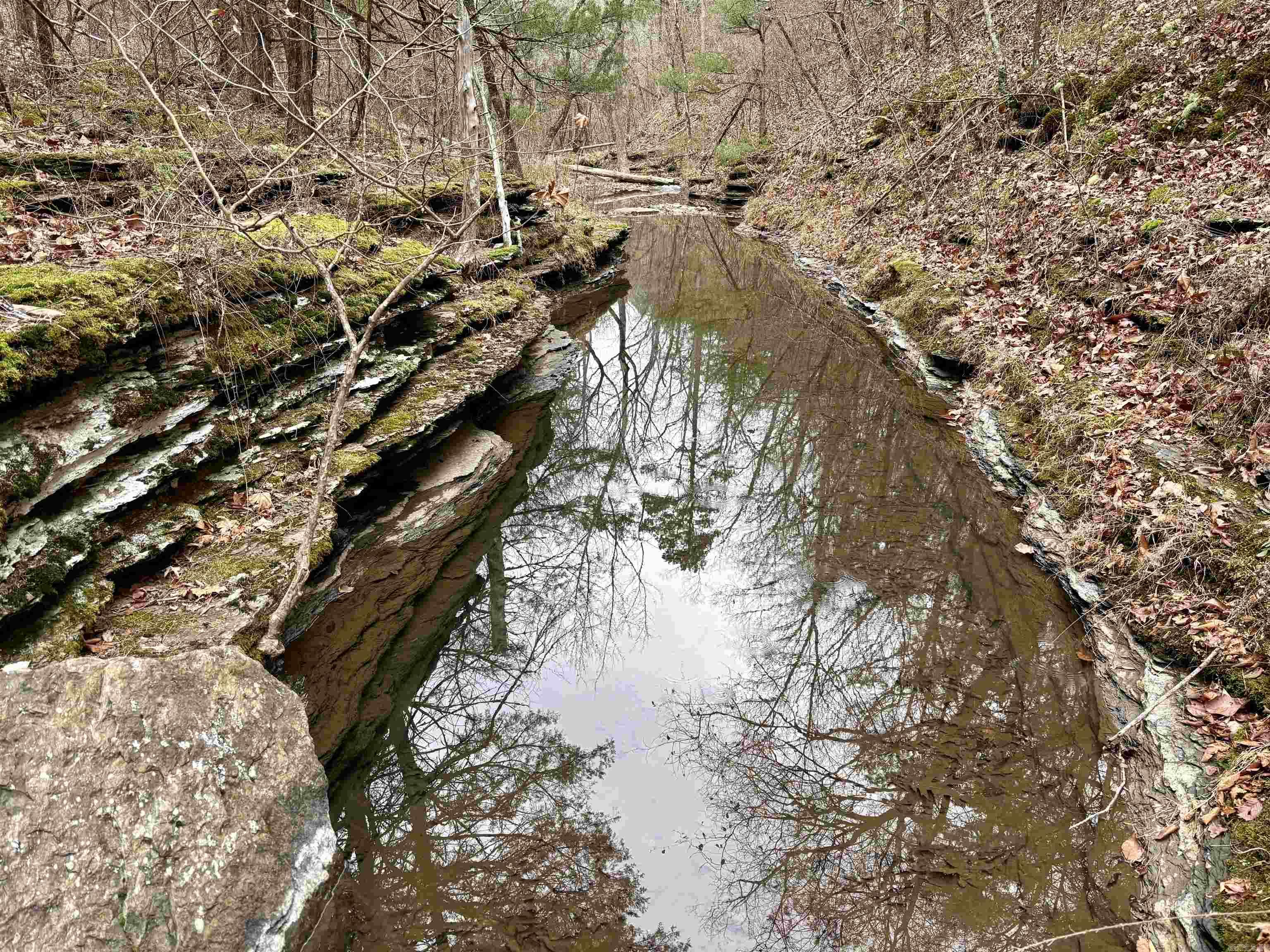 255 Sweet Gum Hollow Road Property Photo 39