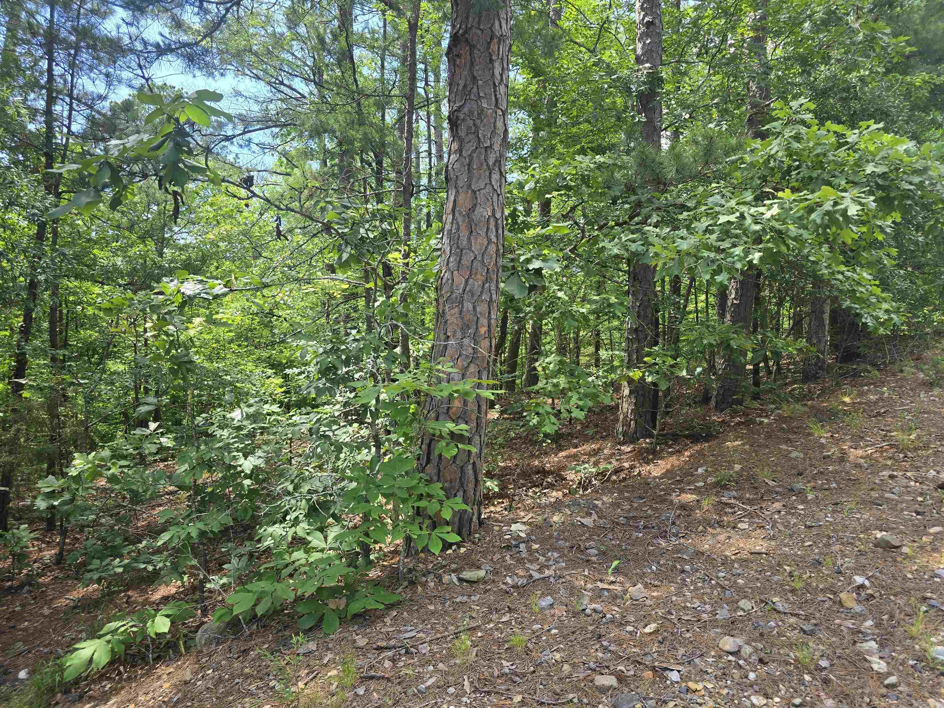 Tbd Doubloon Circle Property Photo 2