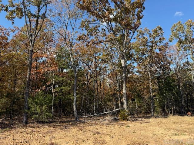 42 Summer Sky Drive Property Photo 1